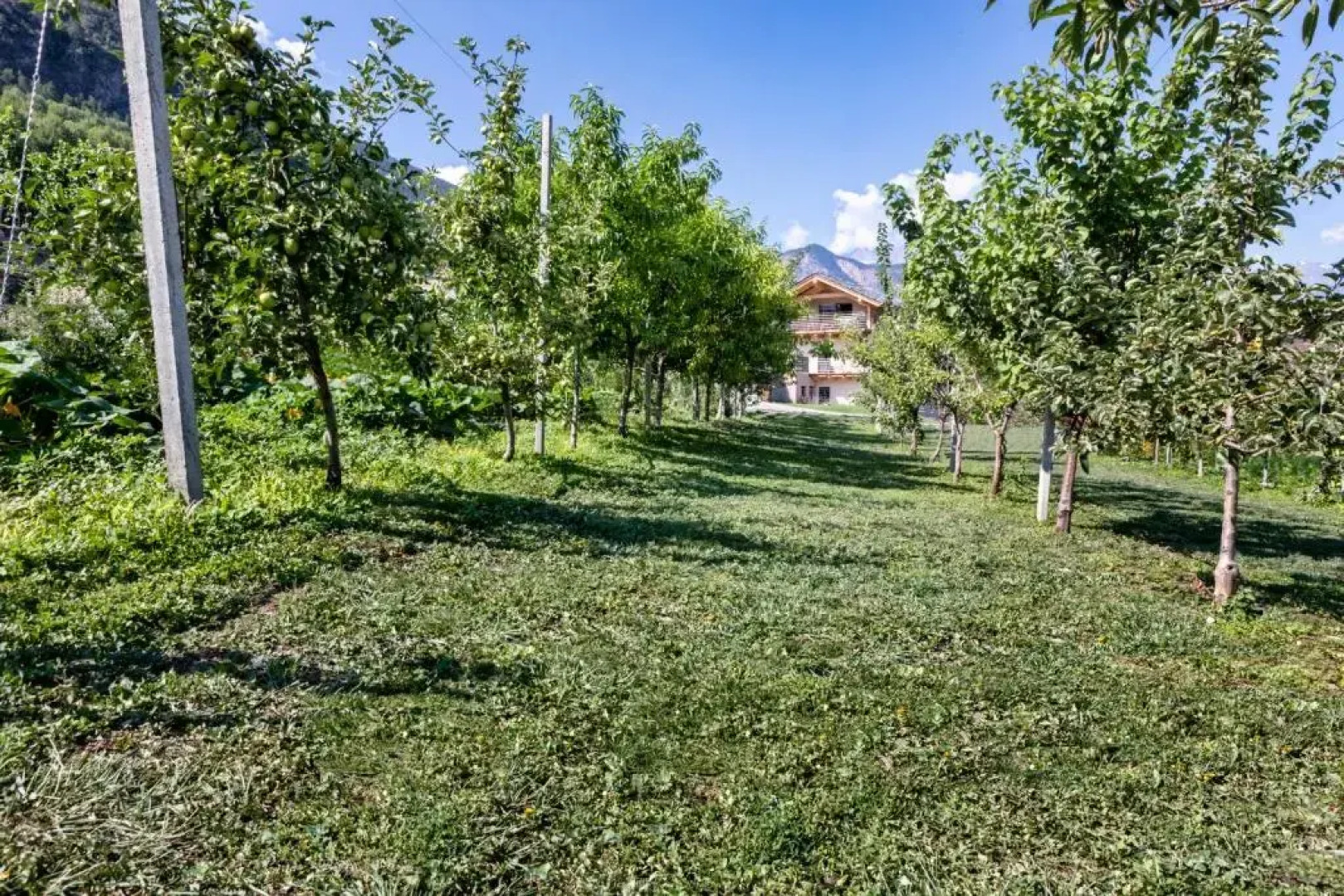 Maison Duc - apartments