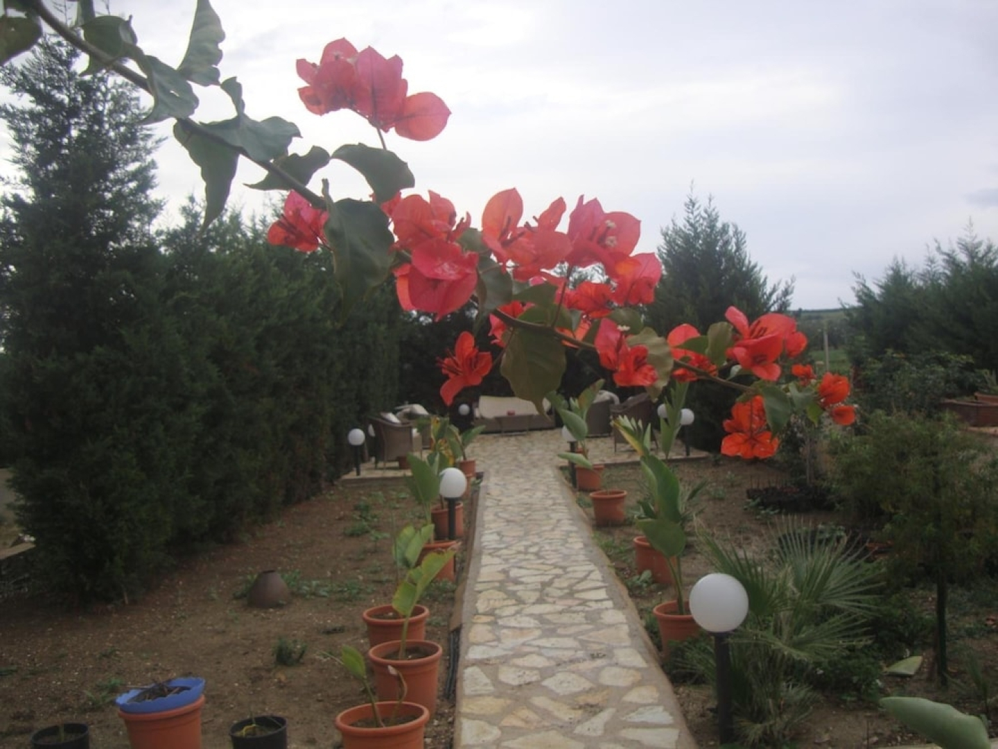 Villa Delle Palme Delfina