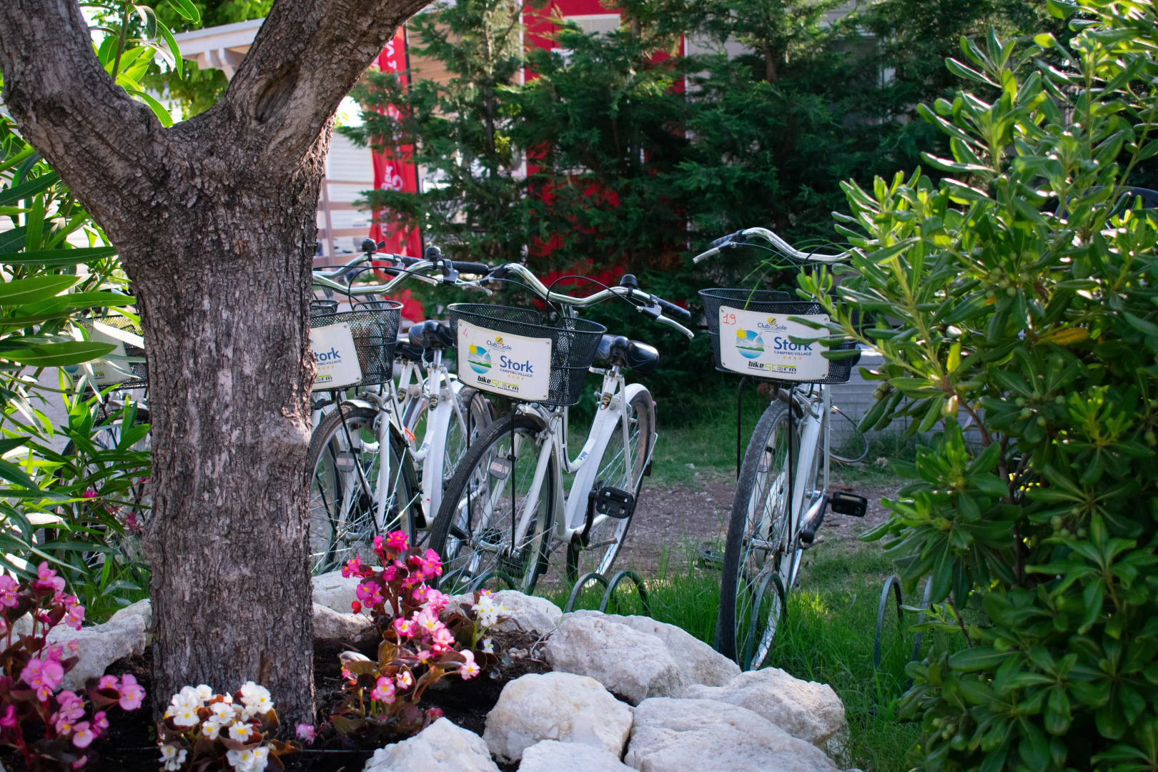 Club Del Sole Stork Family Collection