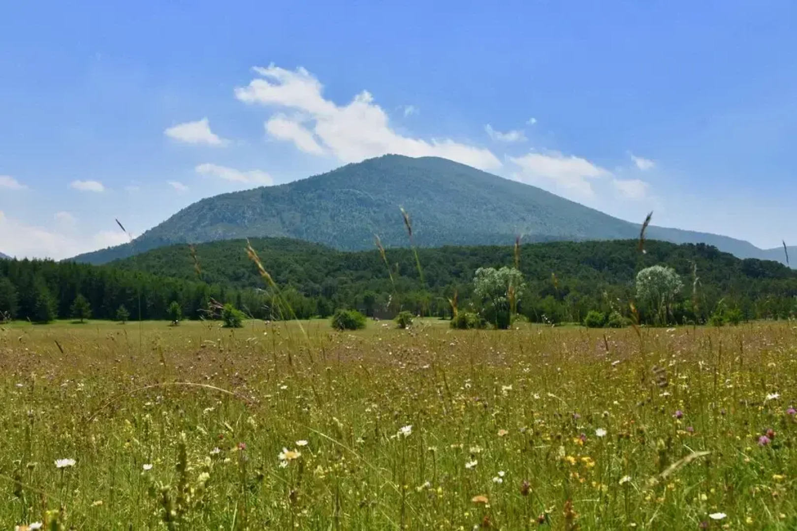 La Bastide Du Logis Du Pin