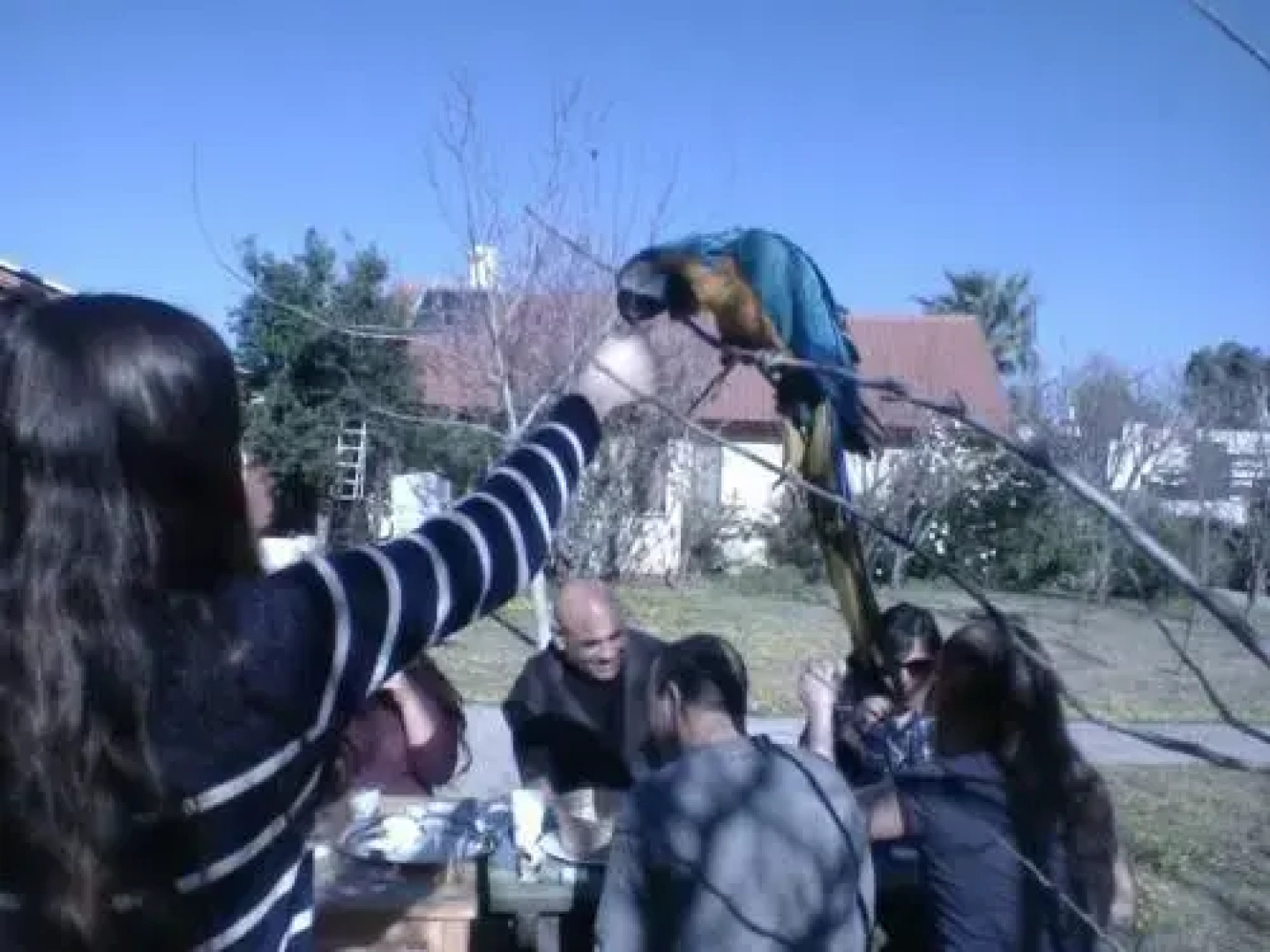 חוויה ברמה - Chavaya Barama