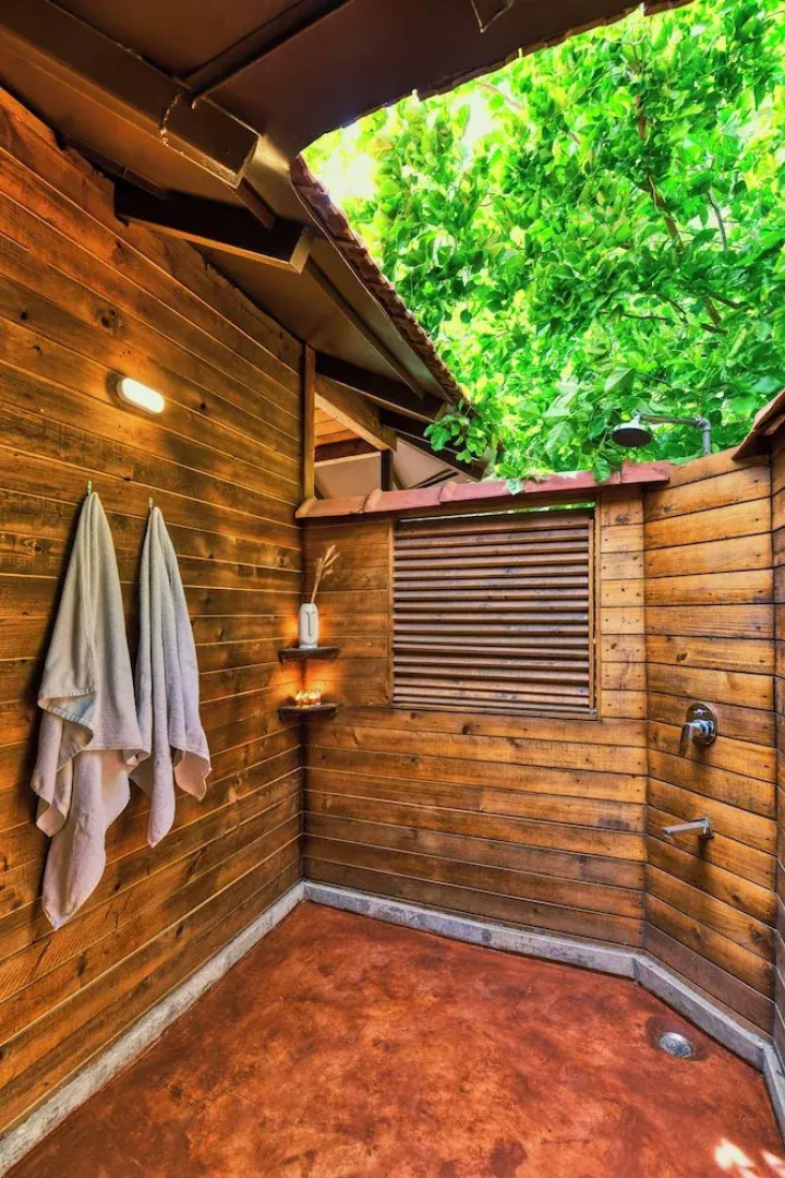 The Earth At Ranthambore