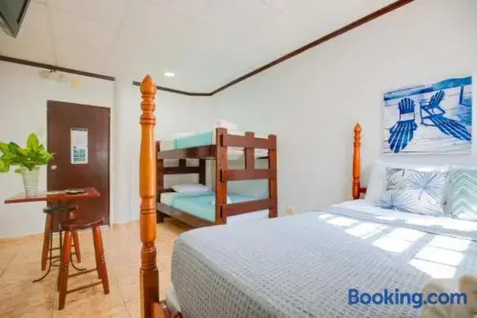 Wild Flowers Boquerón Rooms