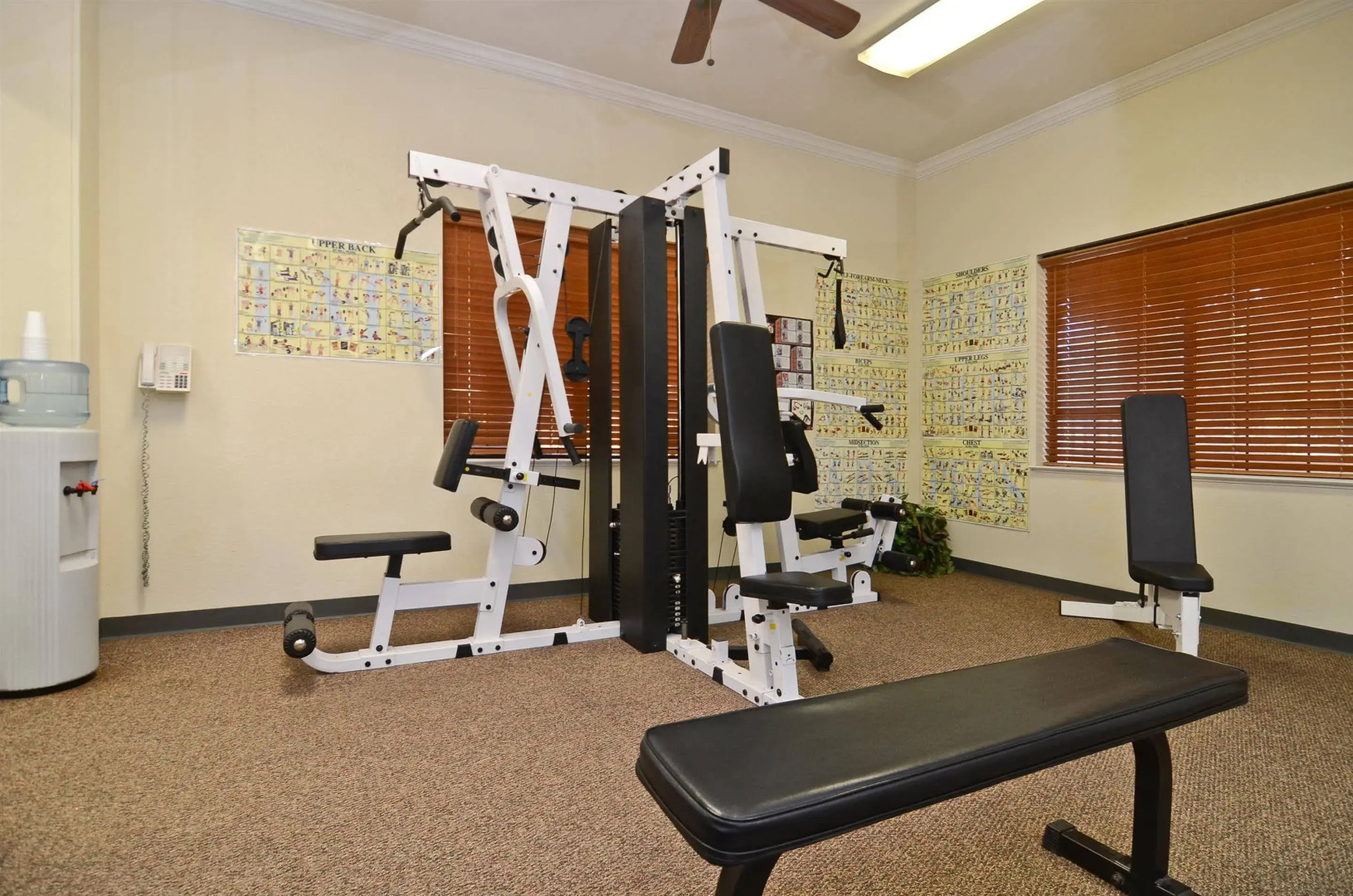 Best Western Dinosaur Valley Inn & Suites