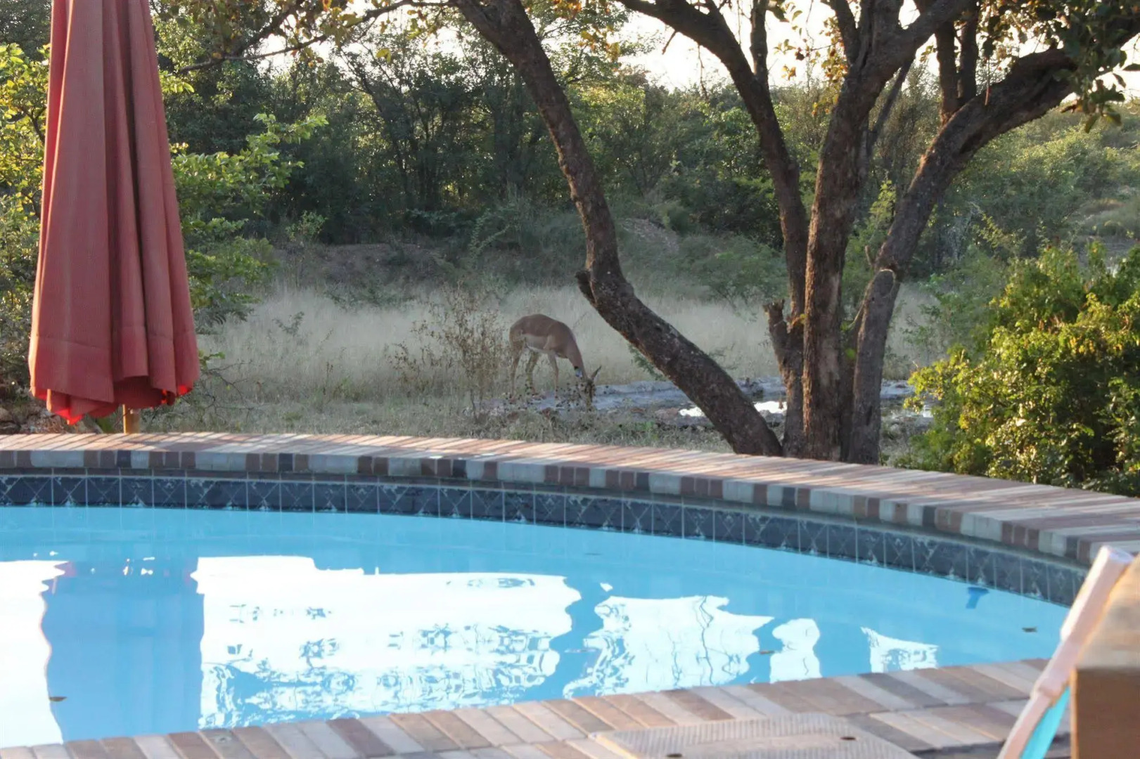 Silonque Bush Estate & Spa