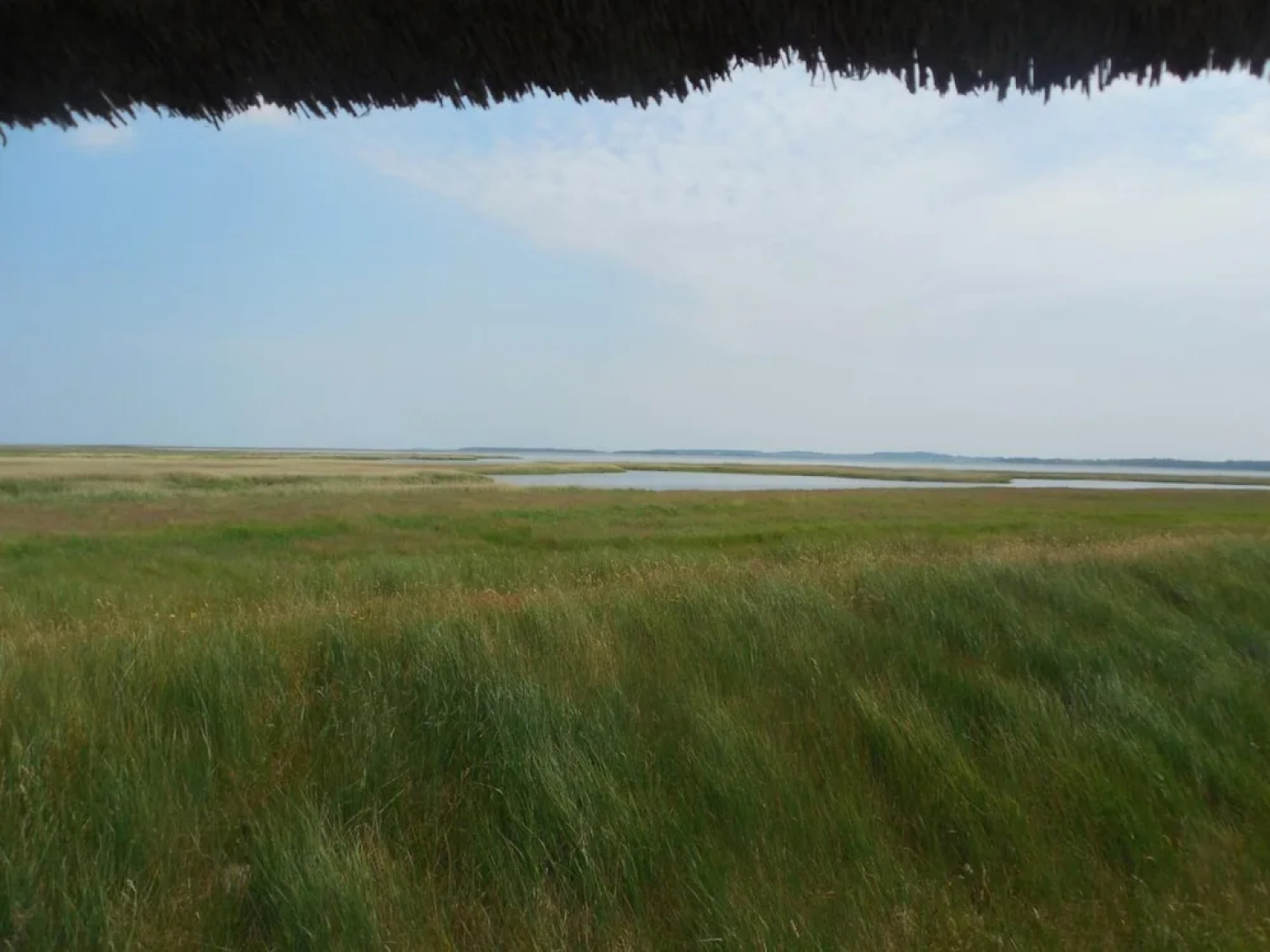 Schlösschen Sundische Wiese