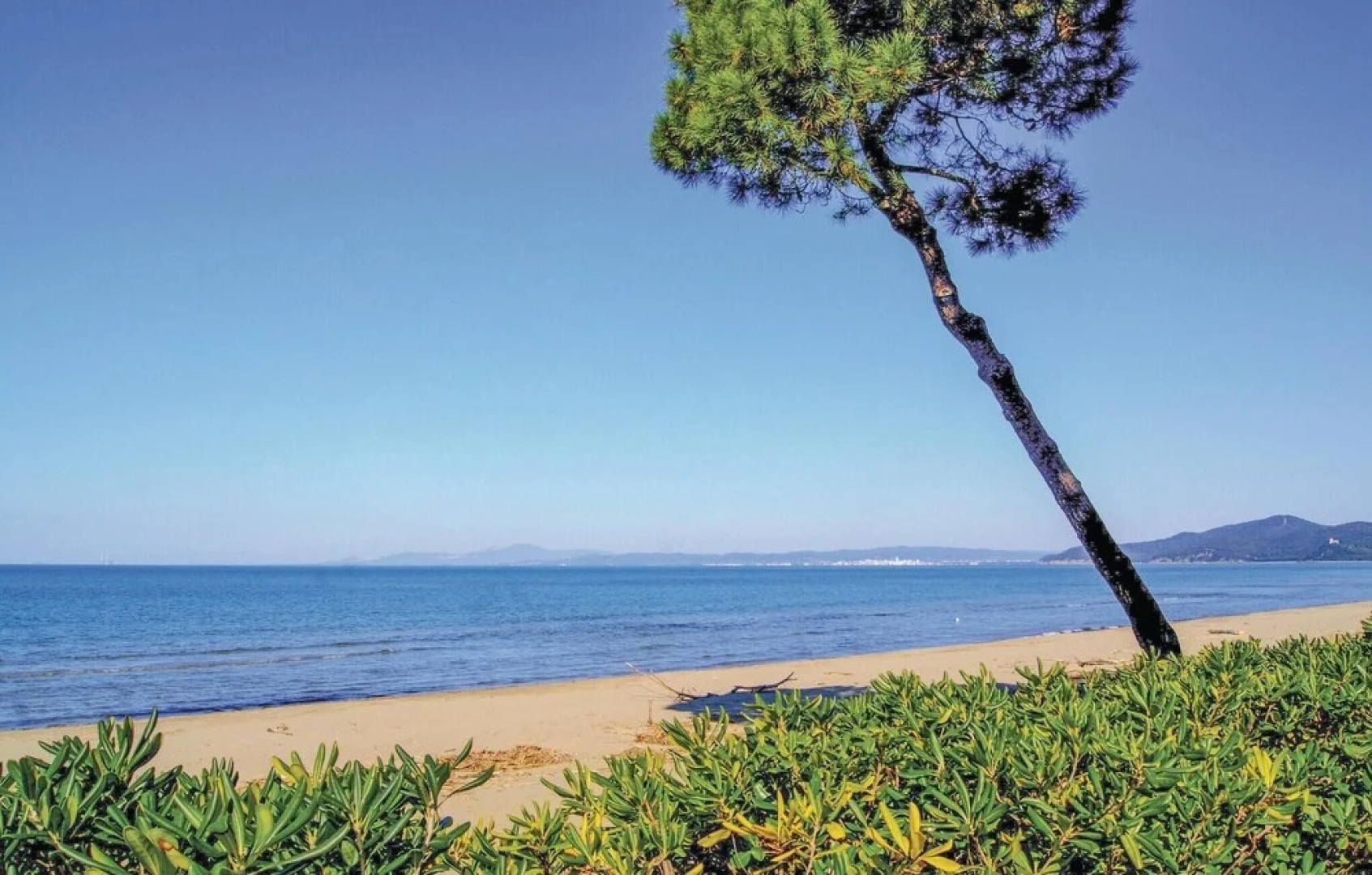 Tenuta San Crescenzio