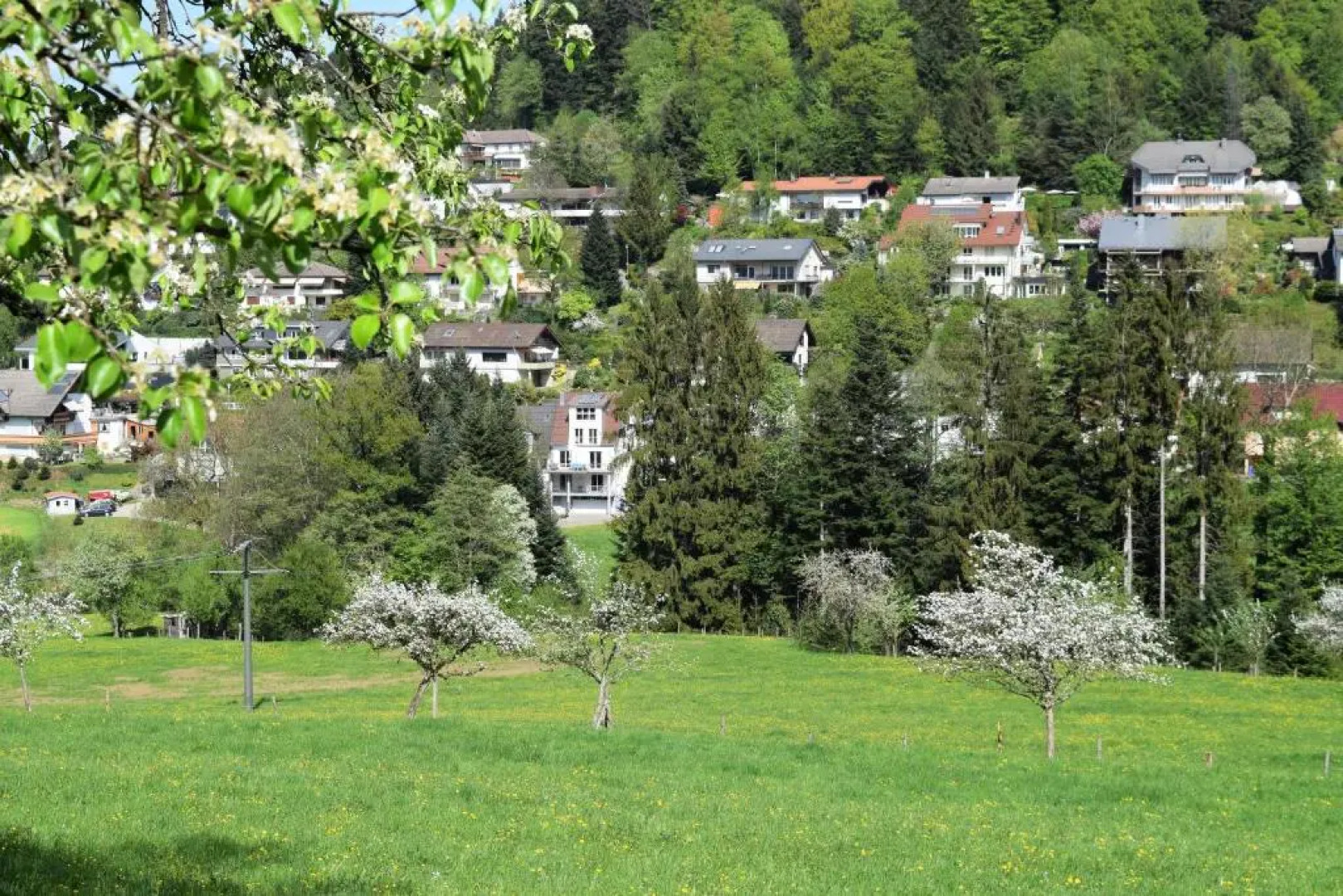 Ferienwohnung im Dettenbachtal