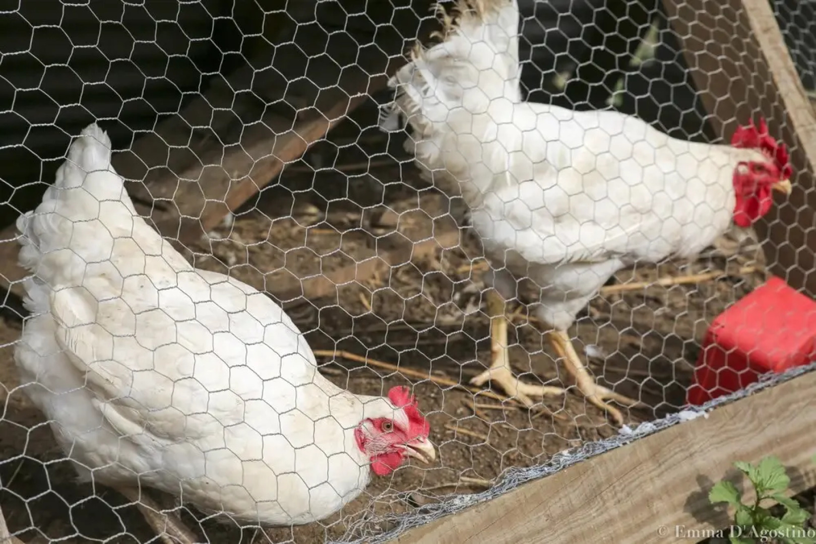 Vatia Beach Eco Lodge