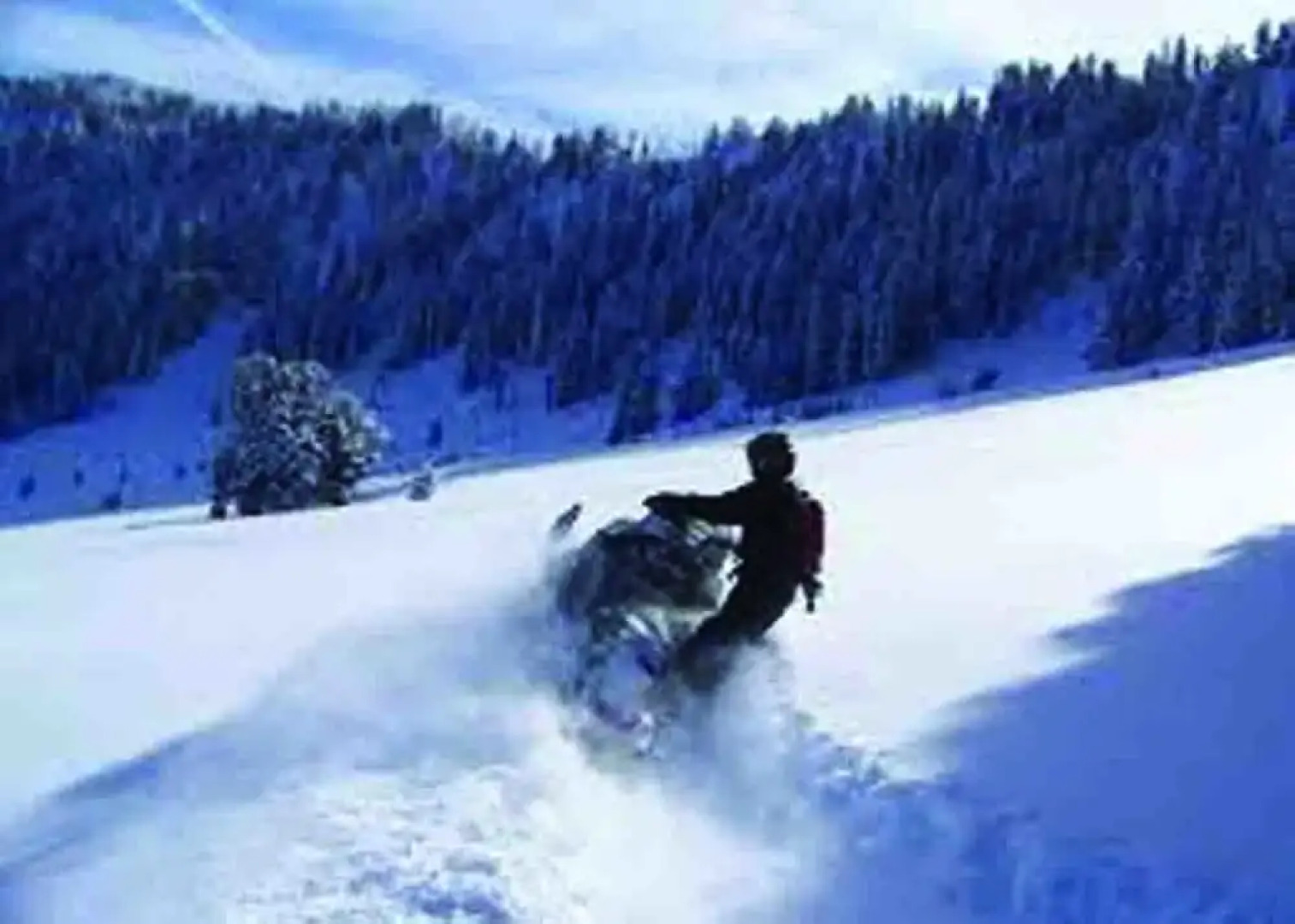 The Aspen Moose Vacation Cabin