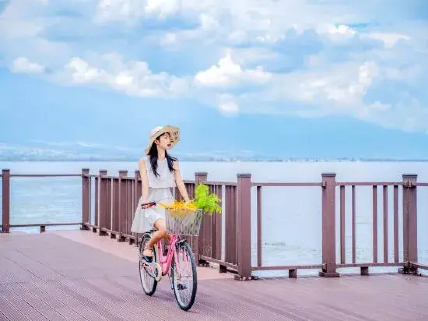 Erhai Zhimen Leisure Hotel