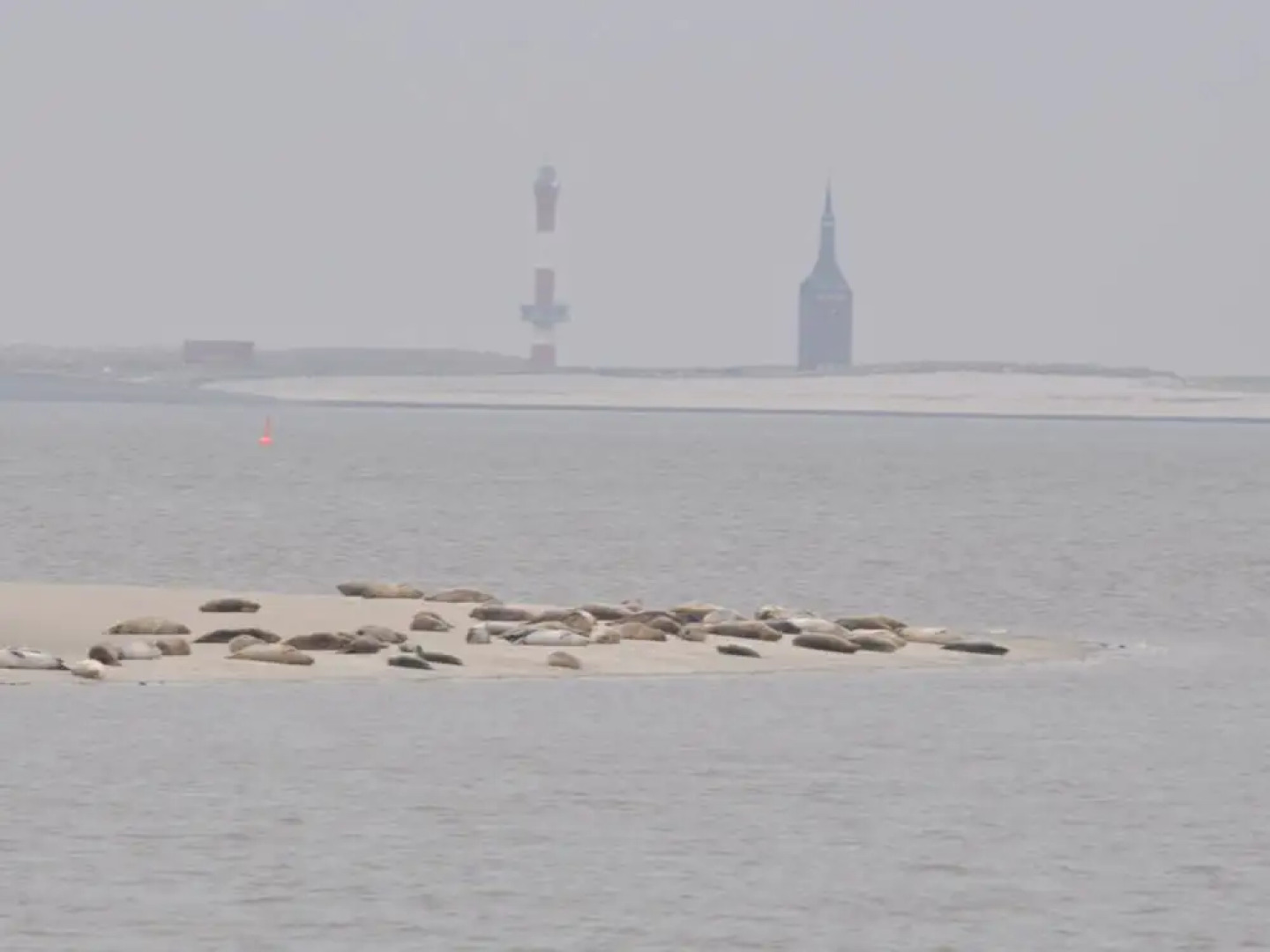 Little Beach Flea Comfortable Holiday Residence