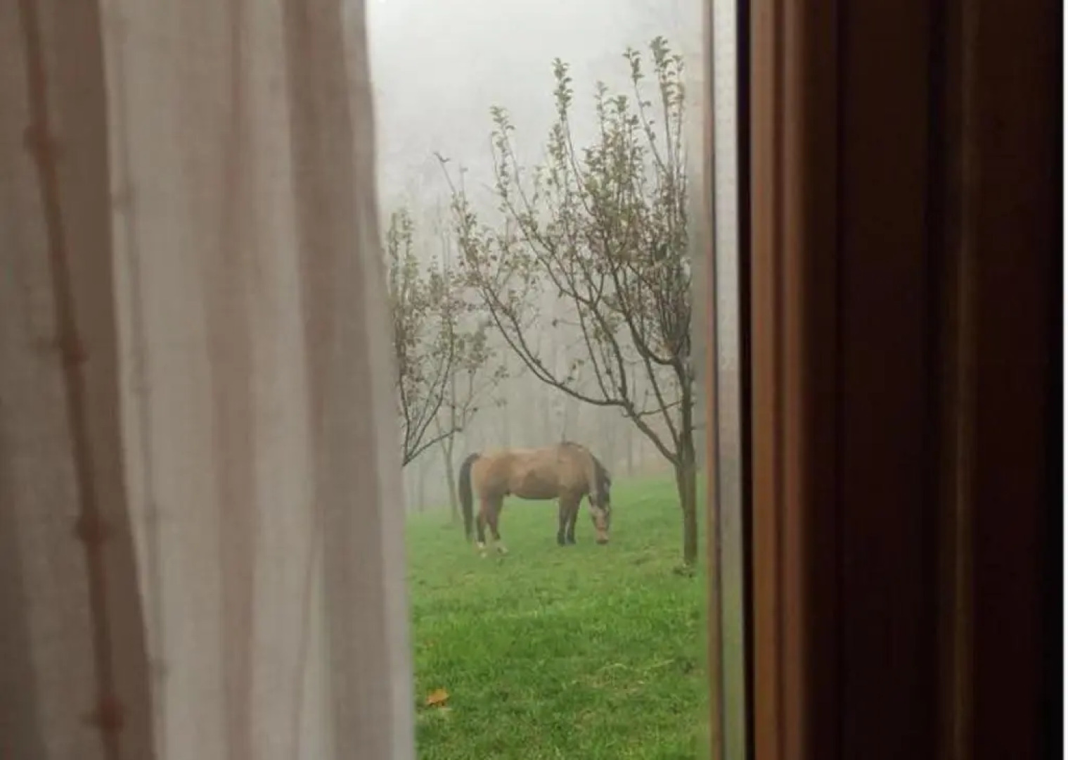 Bed and breakfast Il Mirtillo