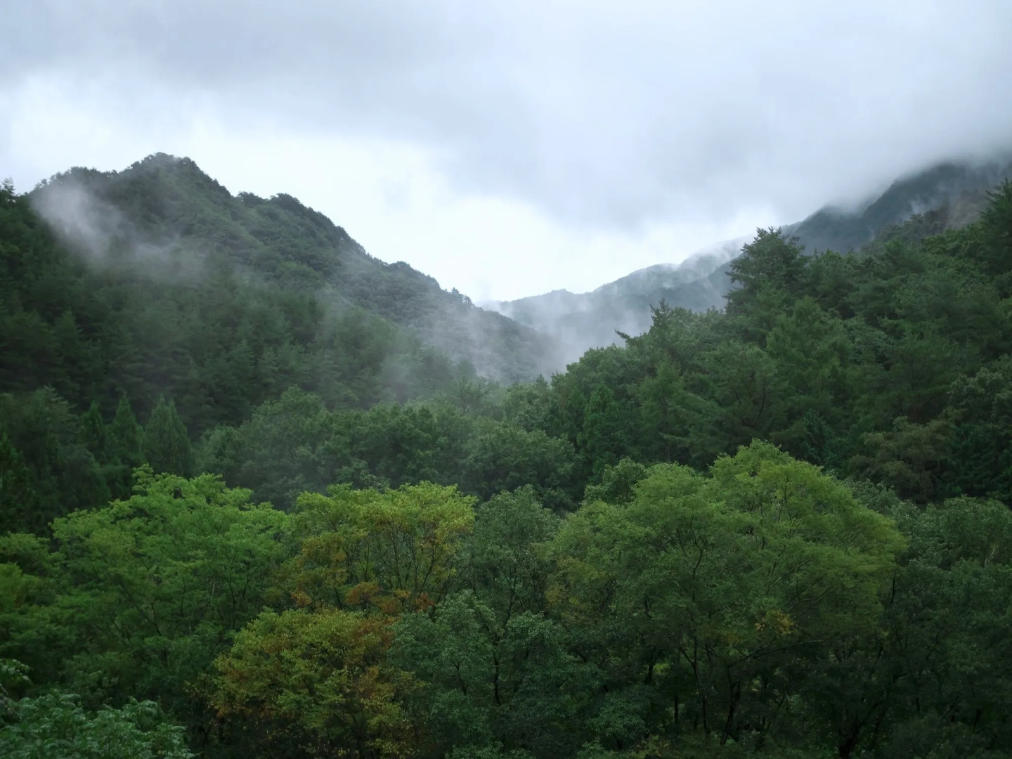 Kominka Yado LOOF Sakanoie