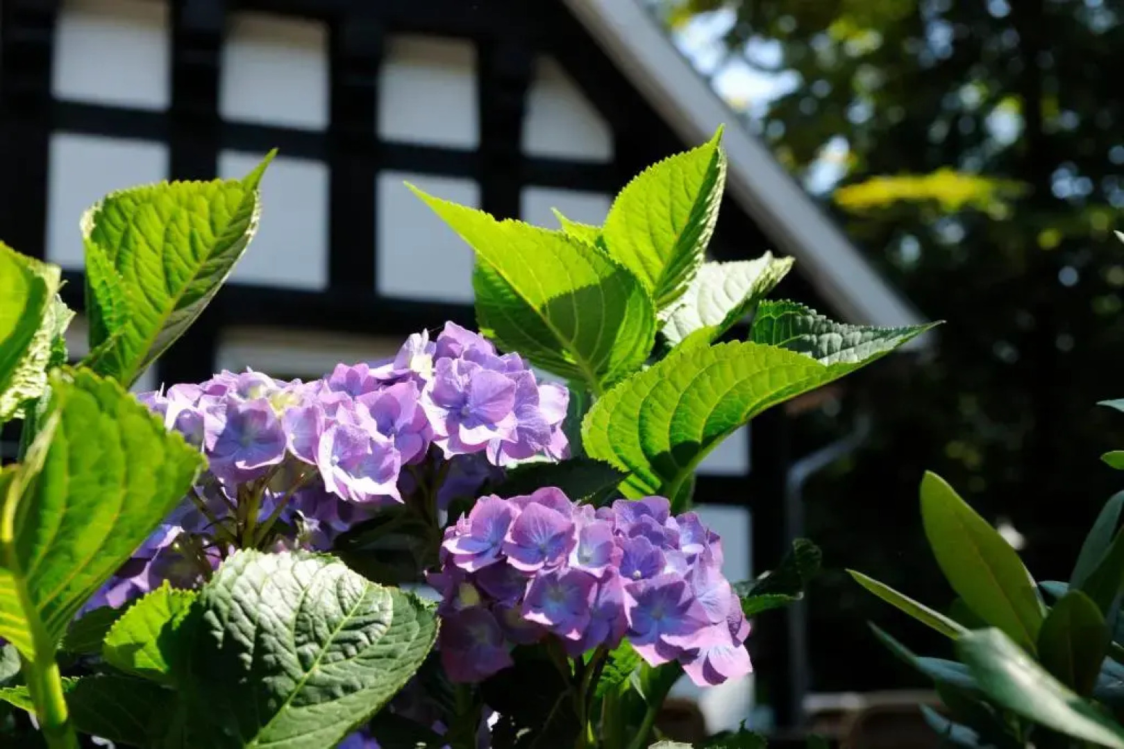 Vila Vita Burghotel Dinklage