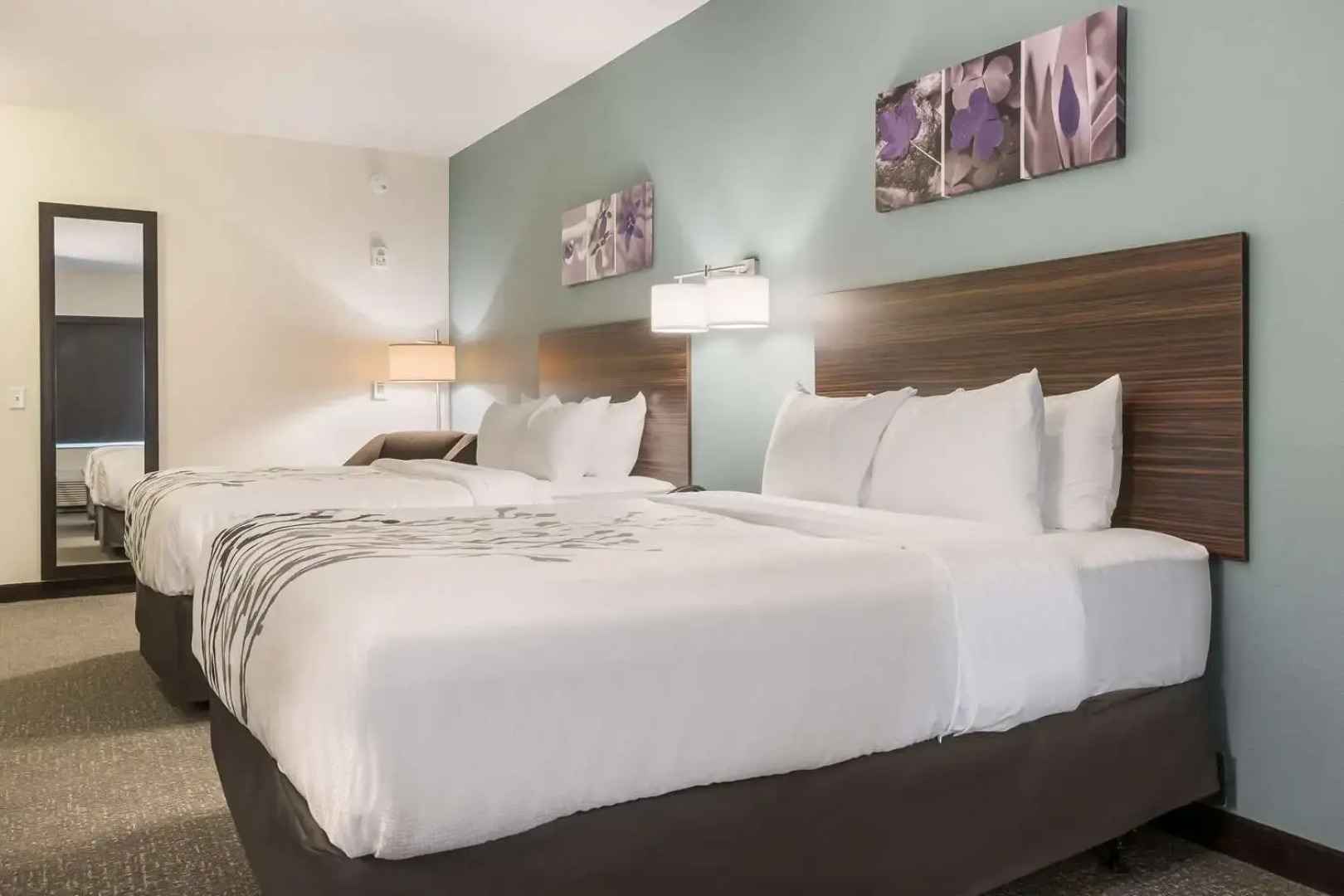 Sleep Inn & Suites Webb City