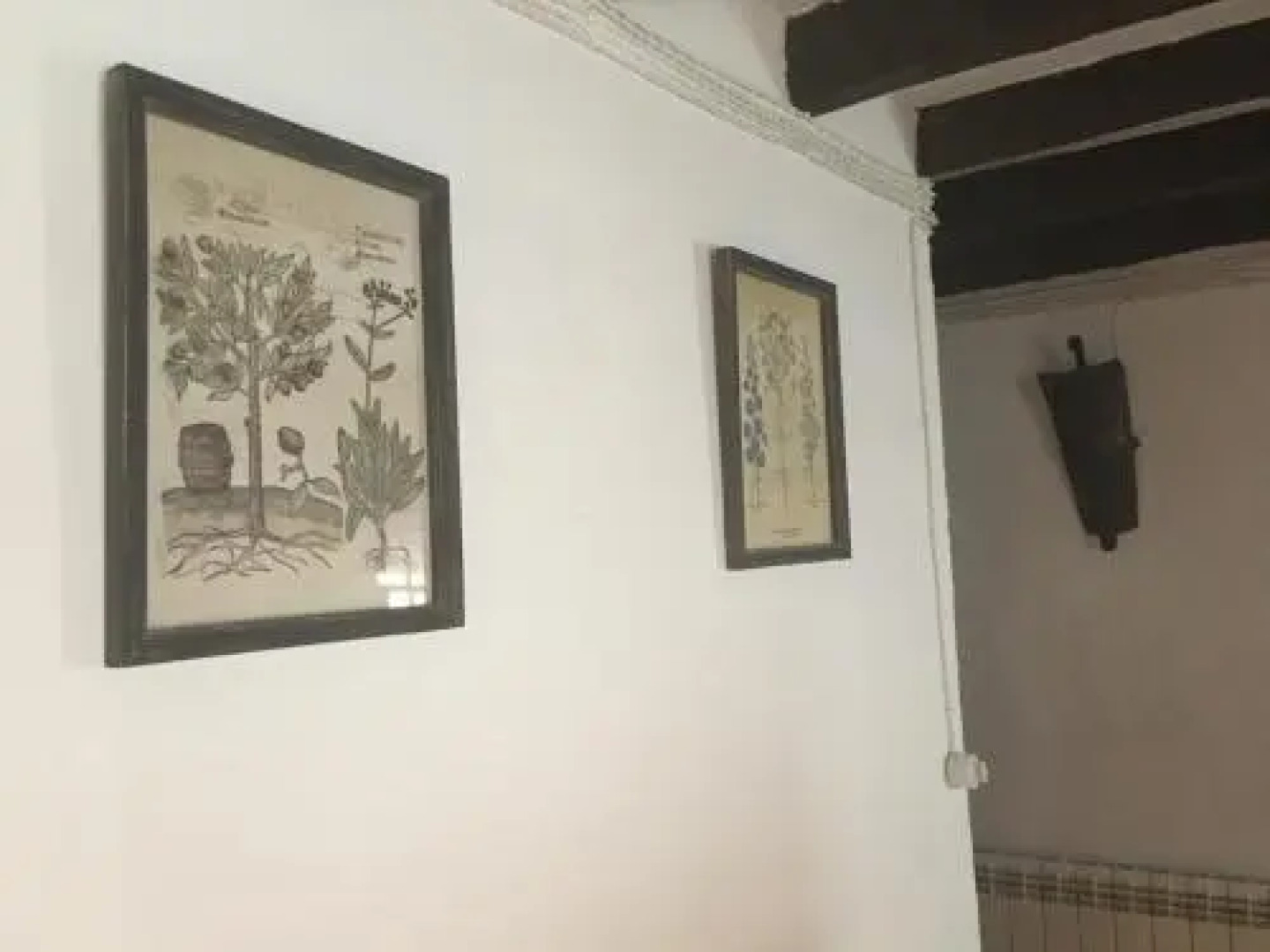 Casa Rural Bracamonte