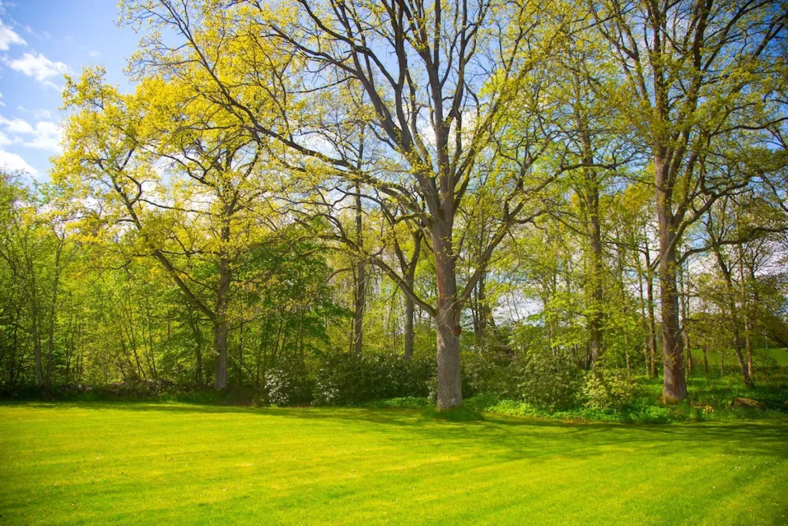 Ekhagen Kurs och Konferens