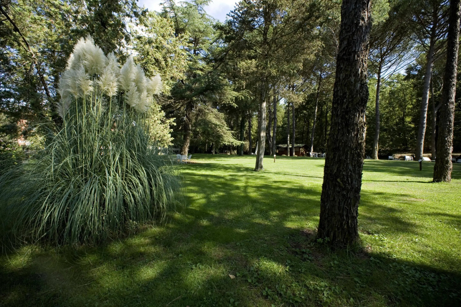 Montebelli Agriturismo & Country Hotel