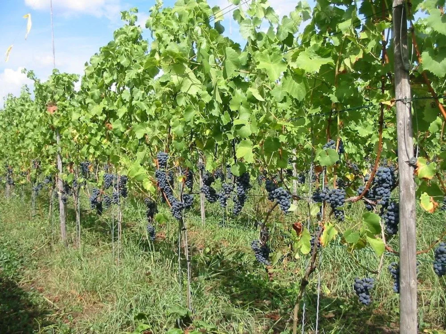 Hotel & Resort de Zeven Heuvelen