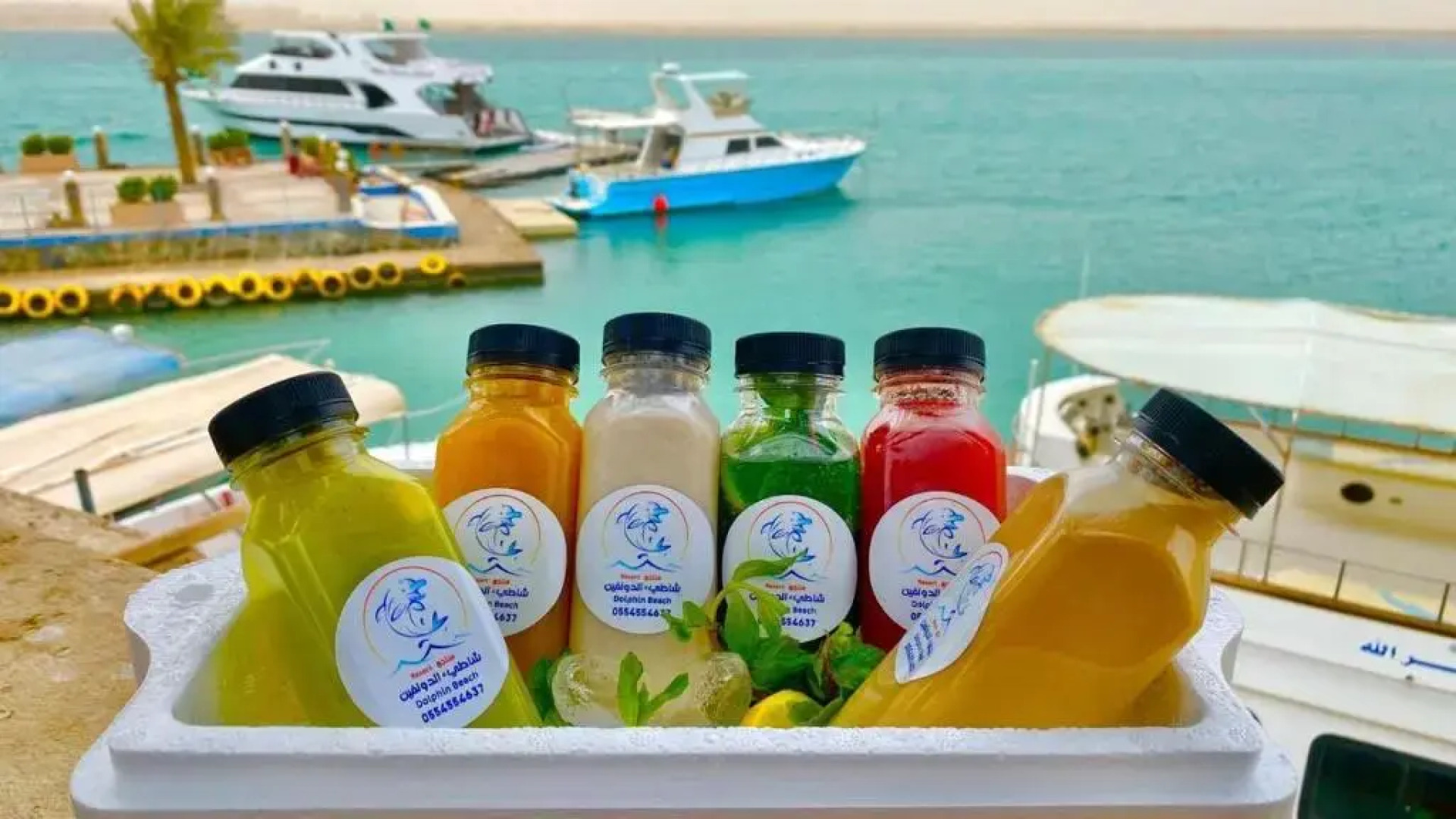 Dolphin Beach Resort