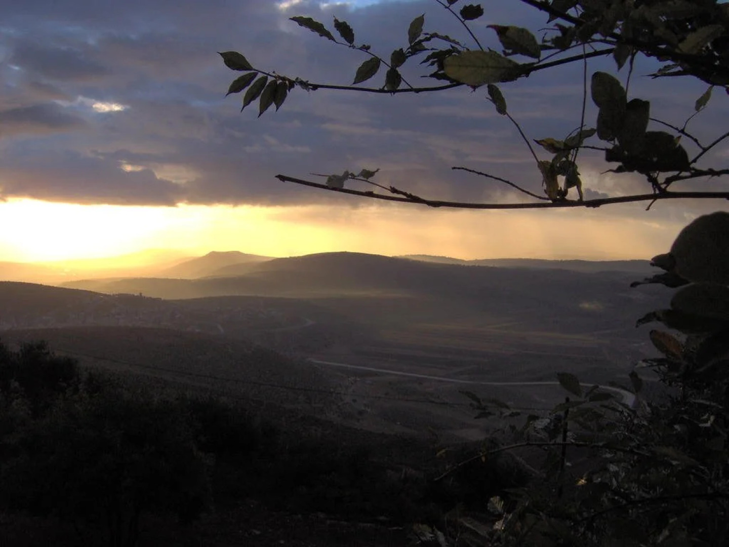 Lakshmi Vacation Apartments