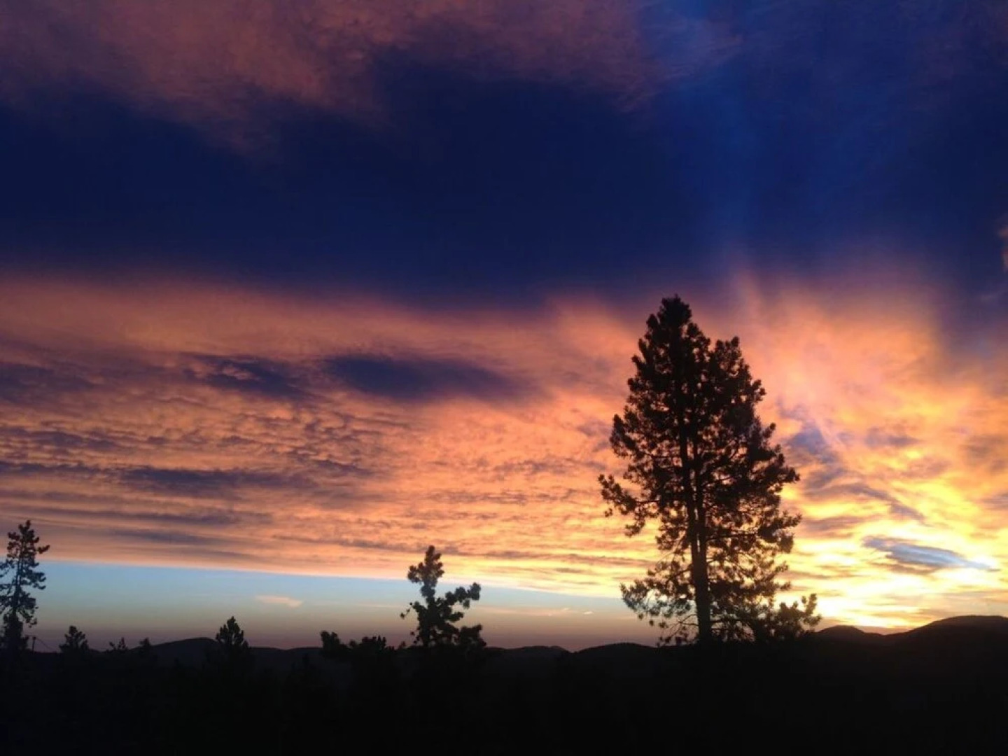 Secluded Fawn Trail Cottage