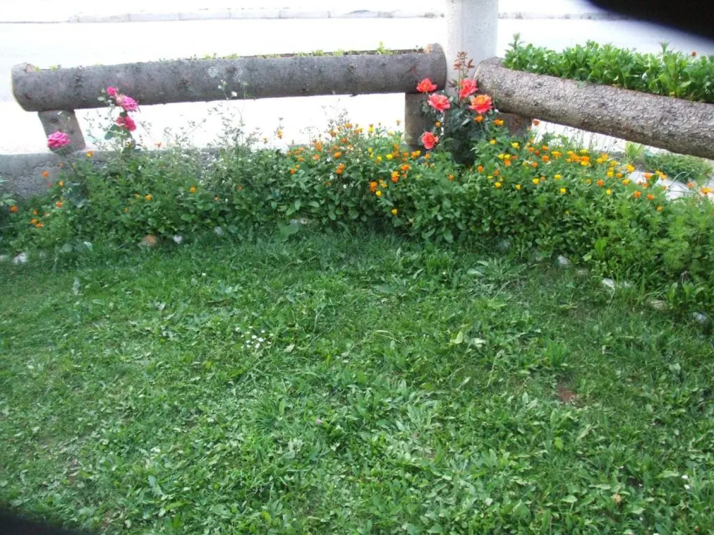 Šćekić Accommodation