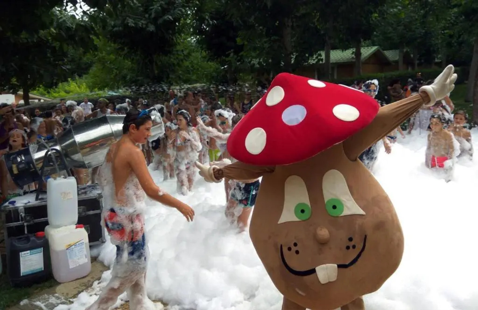 Bassegoda Park Campsite