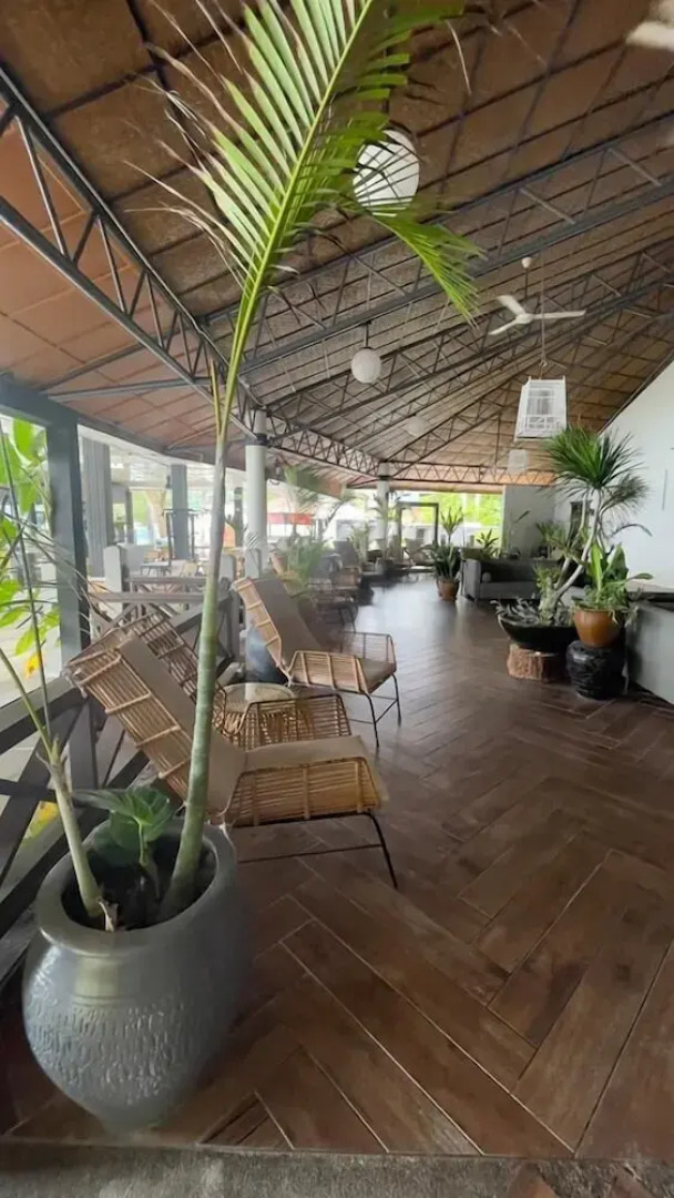 Arwana Perhentian Bluestar