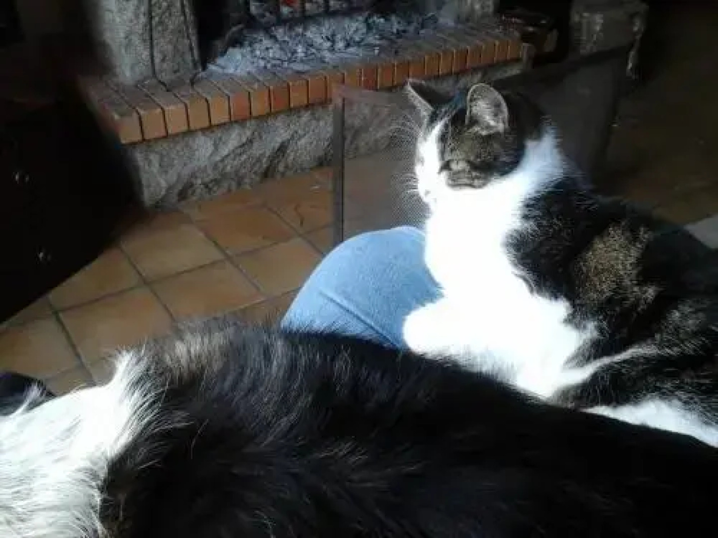 Chambres d'hôtes Ty Ruz