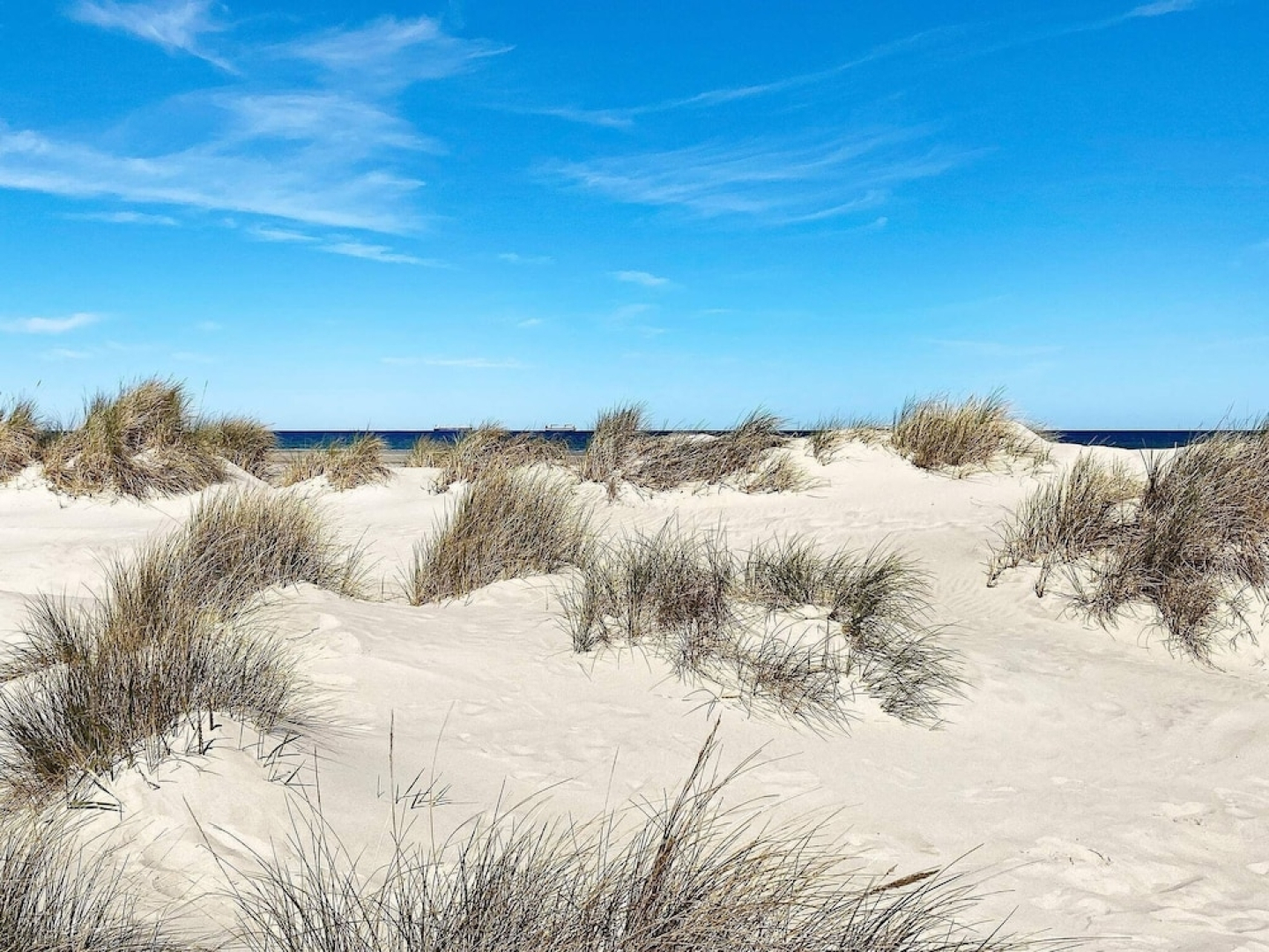 Holiday Home in Pandrup