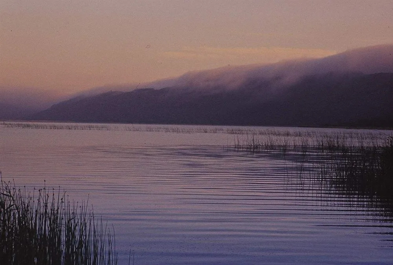 Lake Pleasant Living
