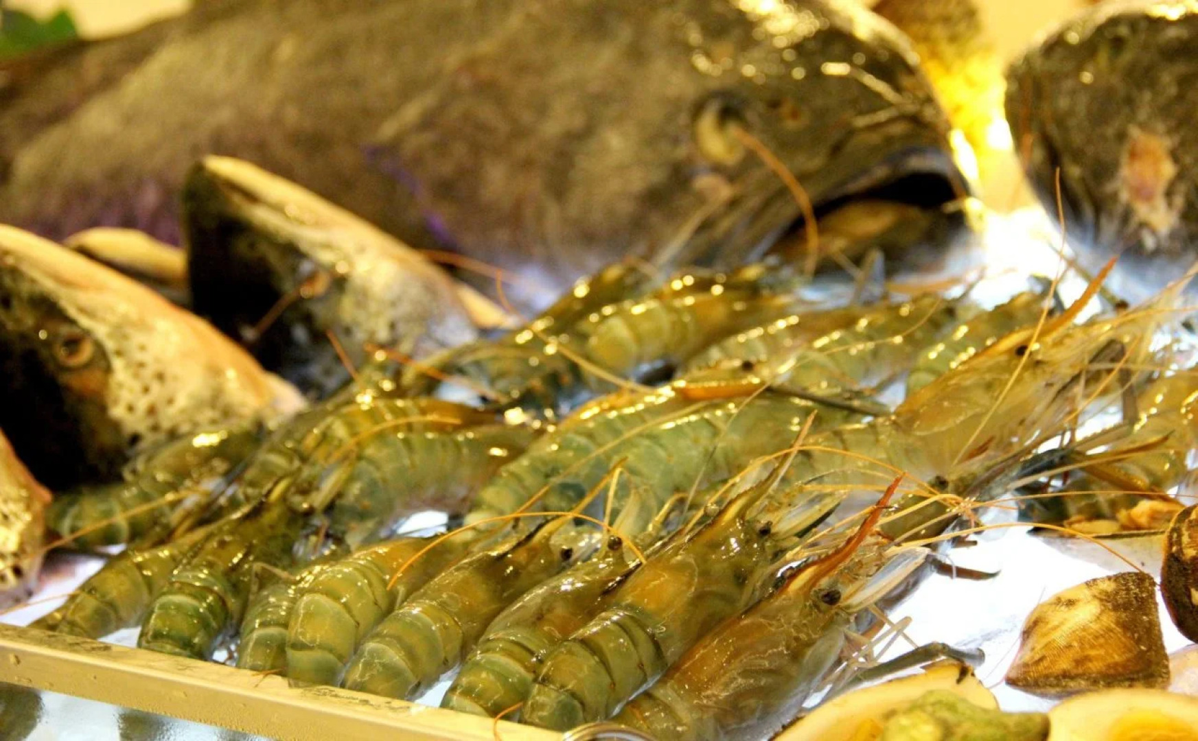 Tan Son Nhat Saigon Hotel