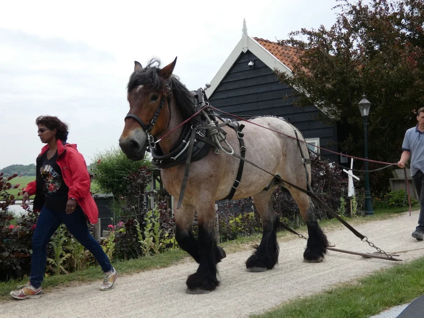 B&B Rechthuis van Zouteveen