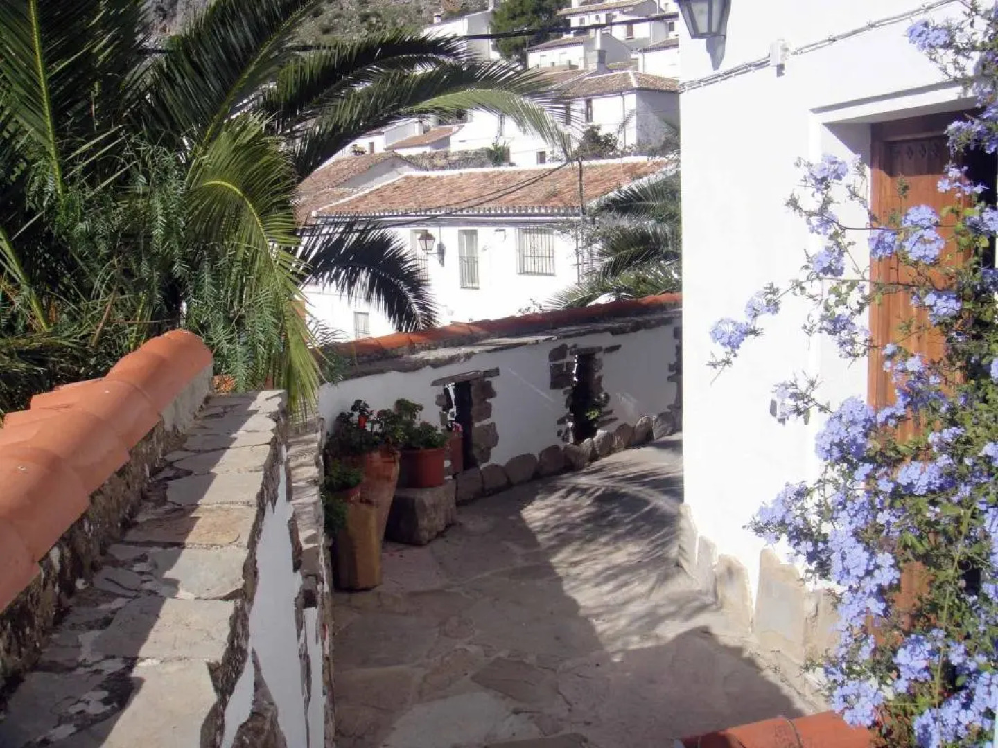 Apartamentos Buganvilla