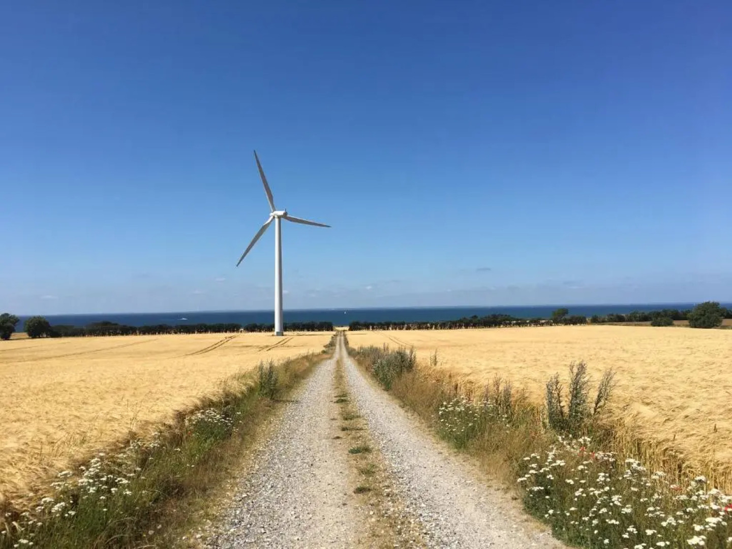 Mellem-rummet Guesthouse