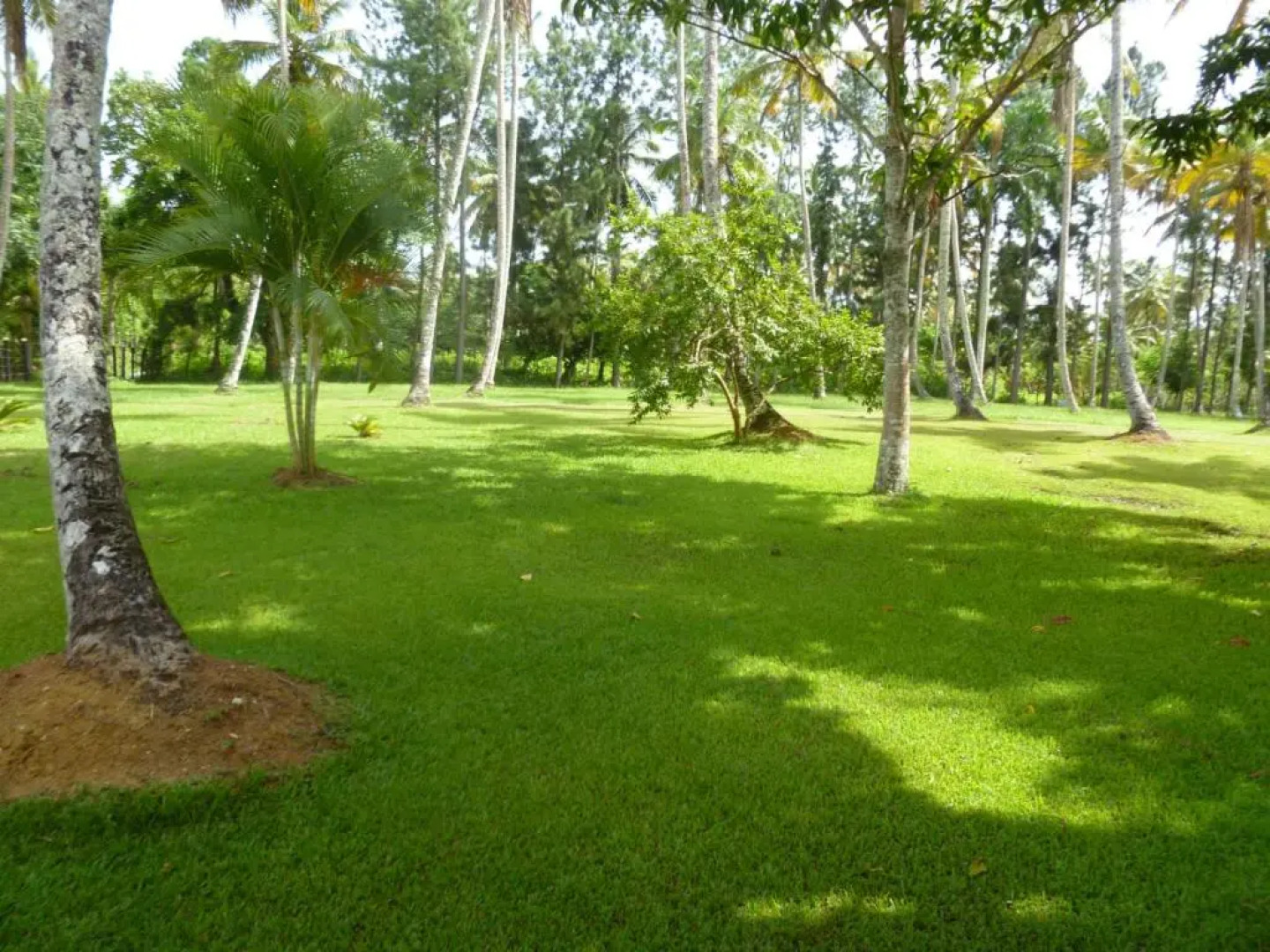 The Place to Enjoy Life!!!