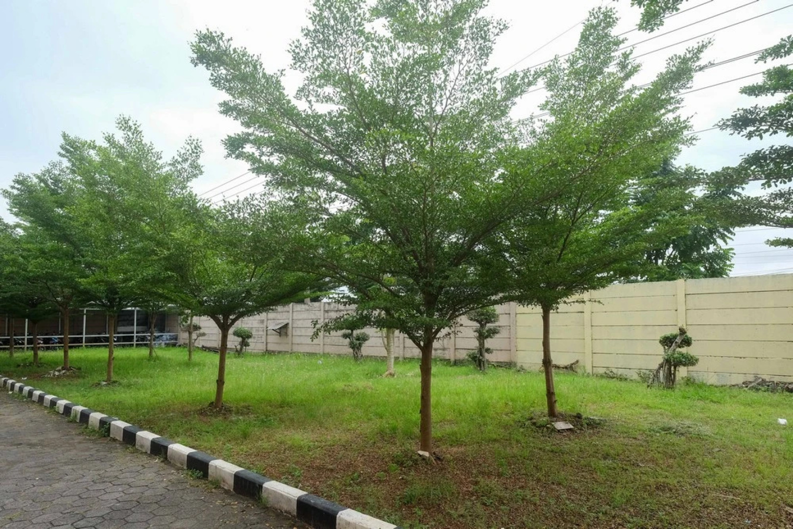 RedDoorz @ Putri Syariah Brebes