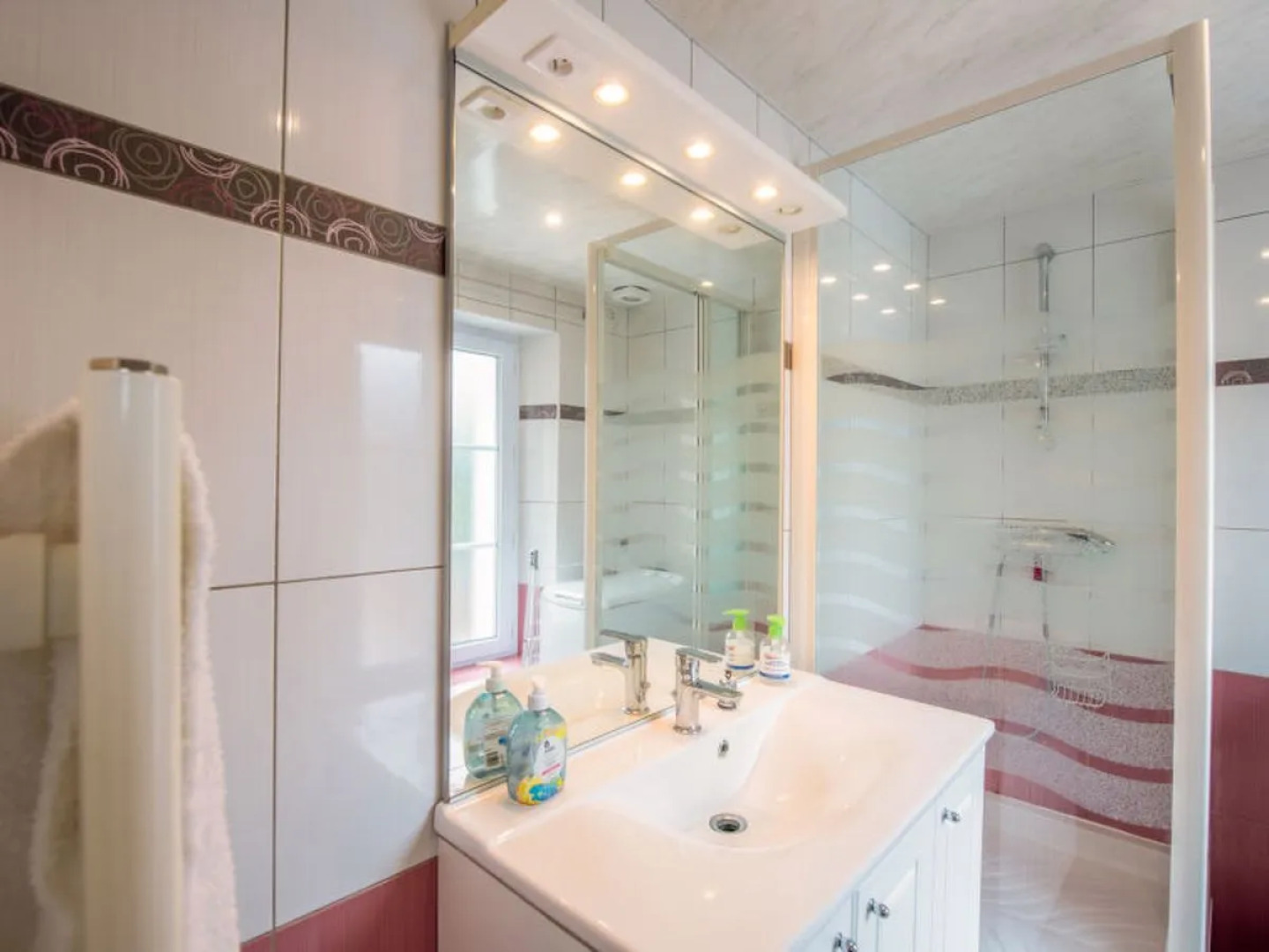 Le Champ Des Mouettes (Ppt400)