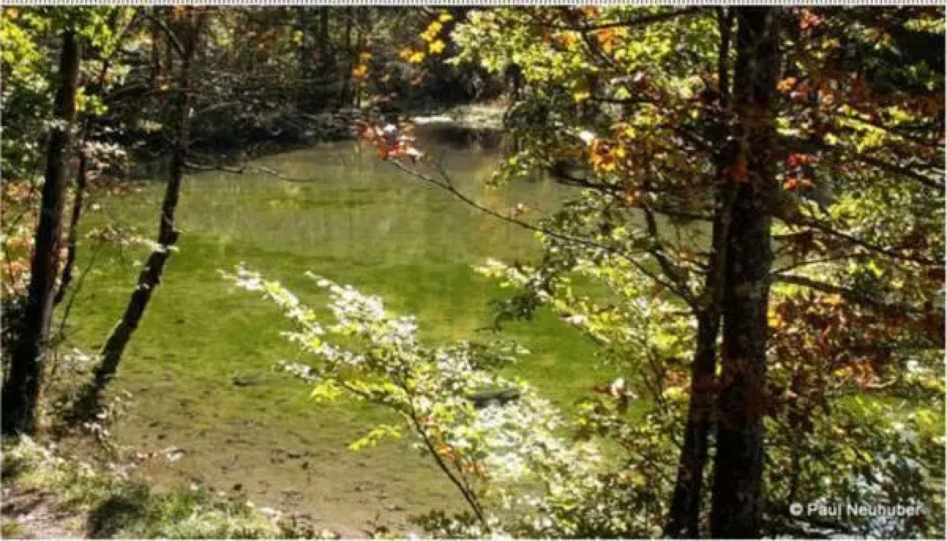 Appartement Gertraud Neuhuber