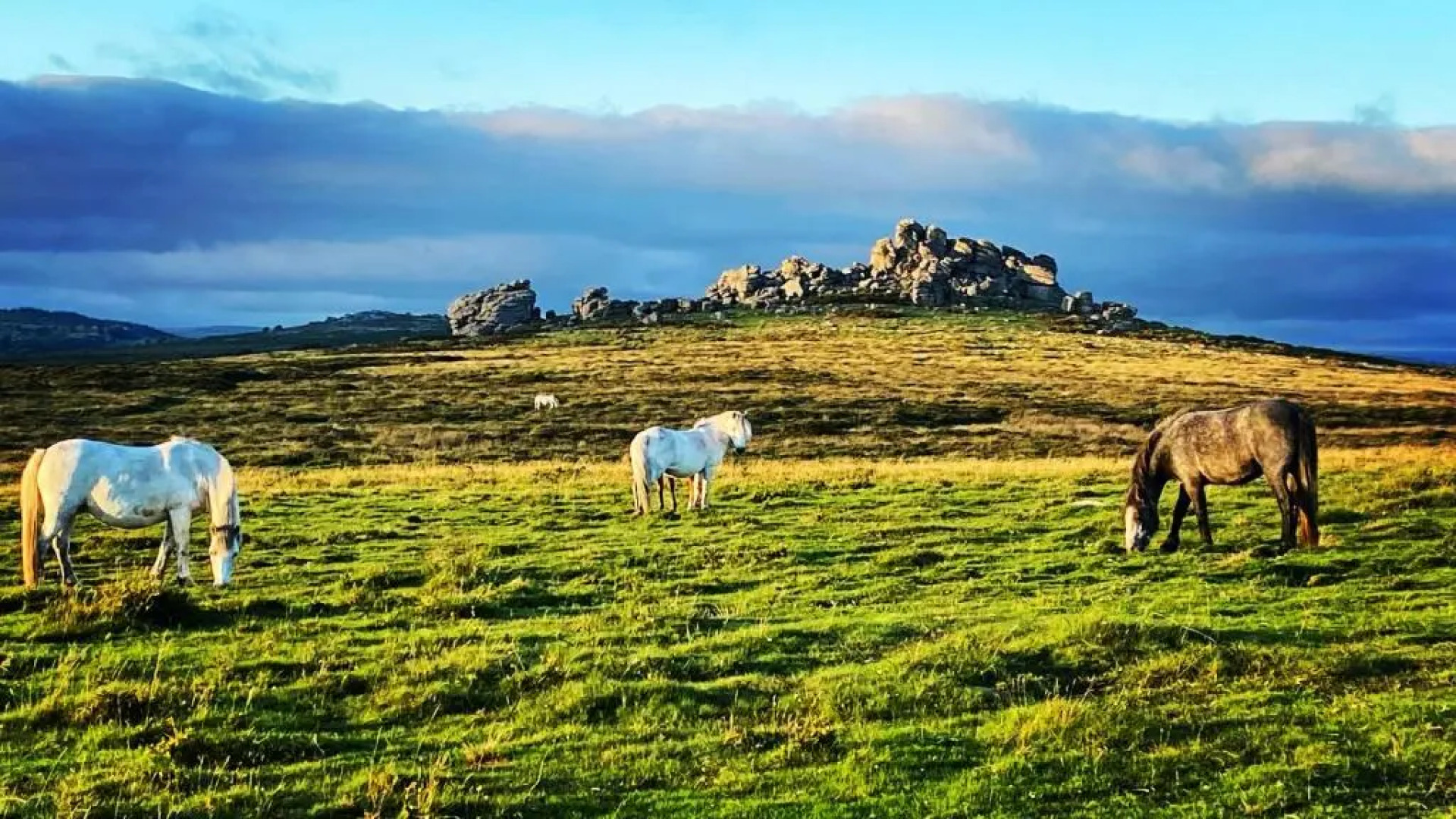 Art Holidays with artist and Illustrator Dartmoor National park
