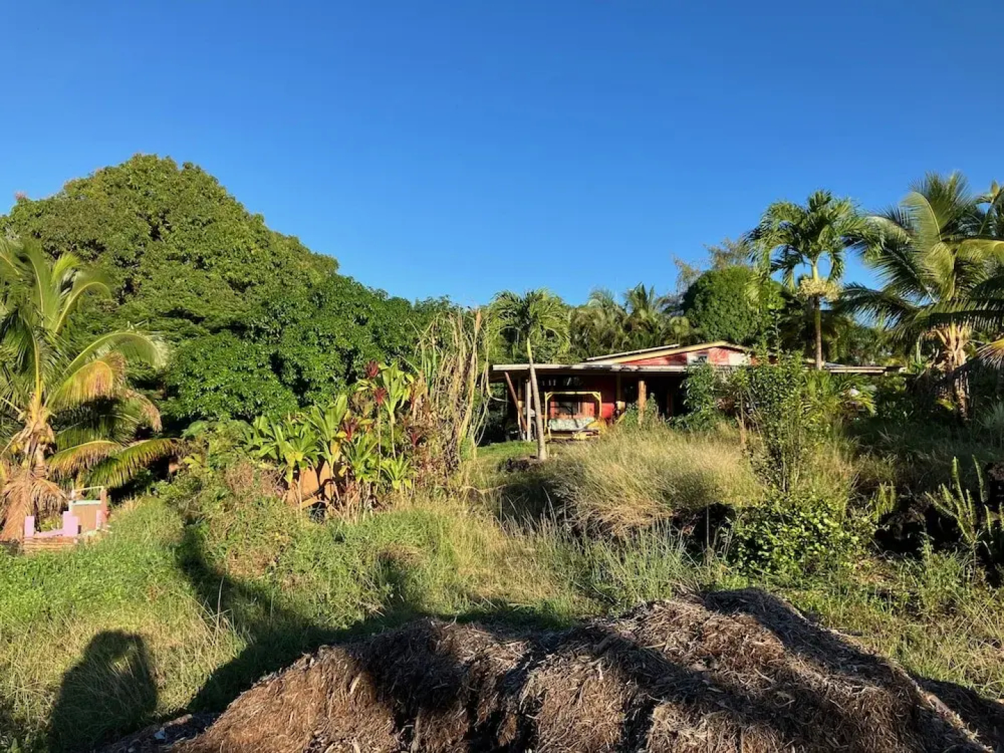 Sweet Spot Stay - Tikis and Treetops