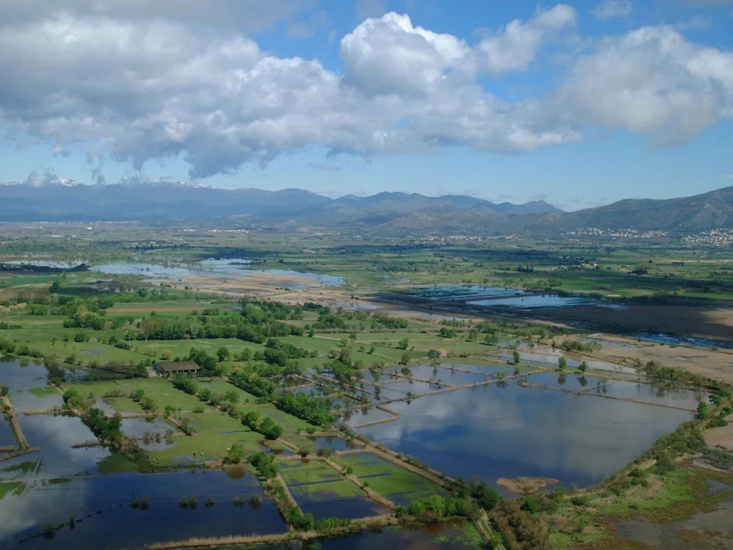 Luxurious Apartment in St Pere Pescador With Private Pool