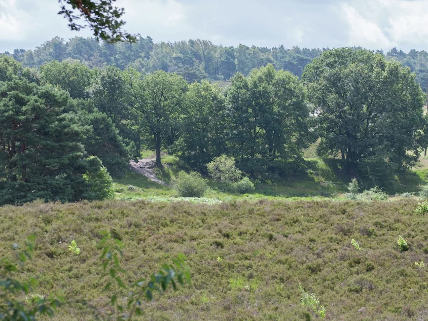 Wooden Holiday Home with Microwave near Brunssummerheide