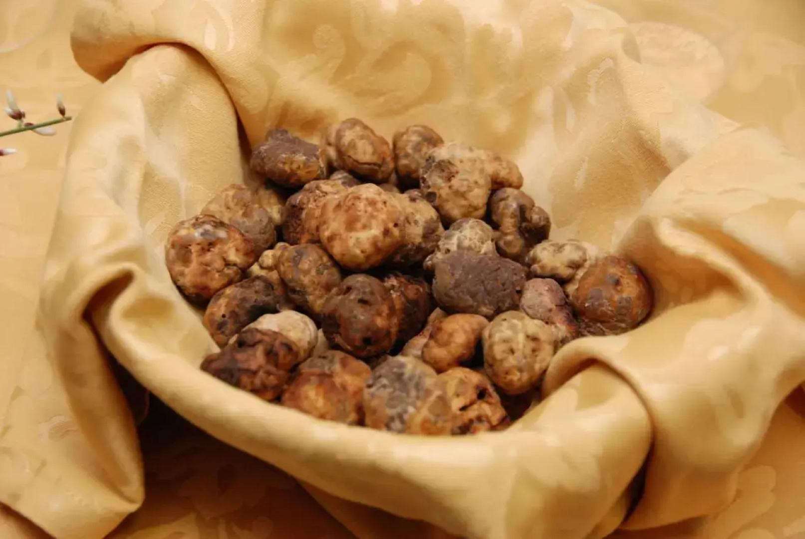 Agriturismo Santa Barbara Country House