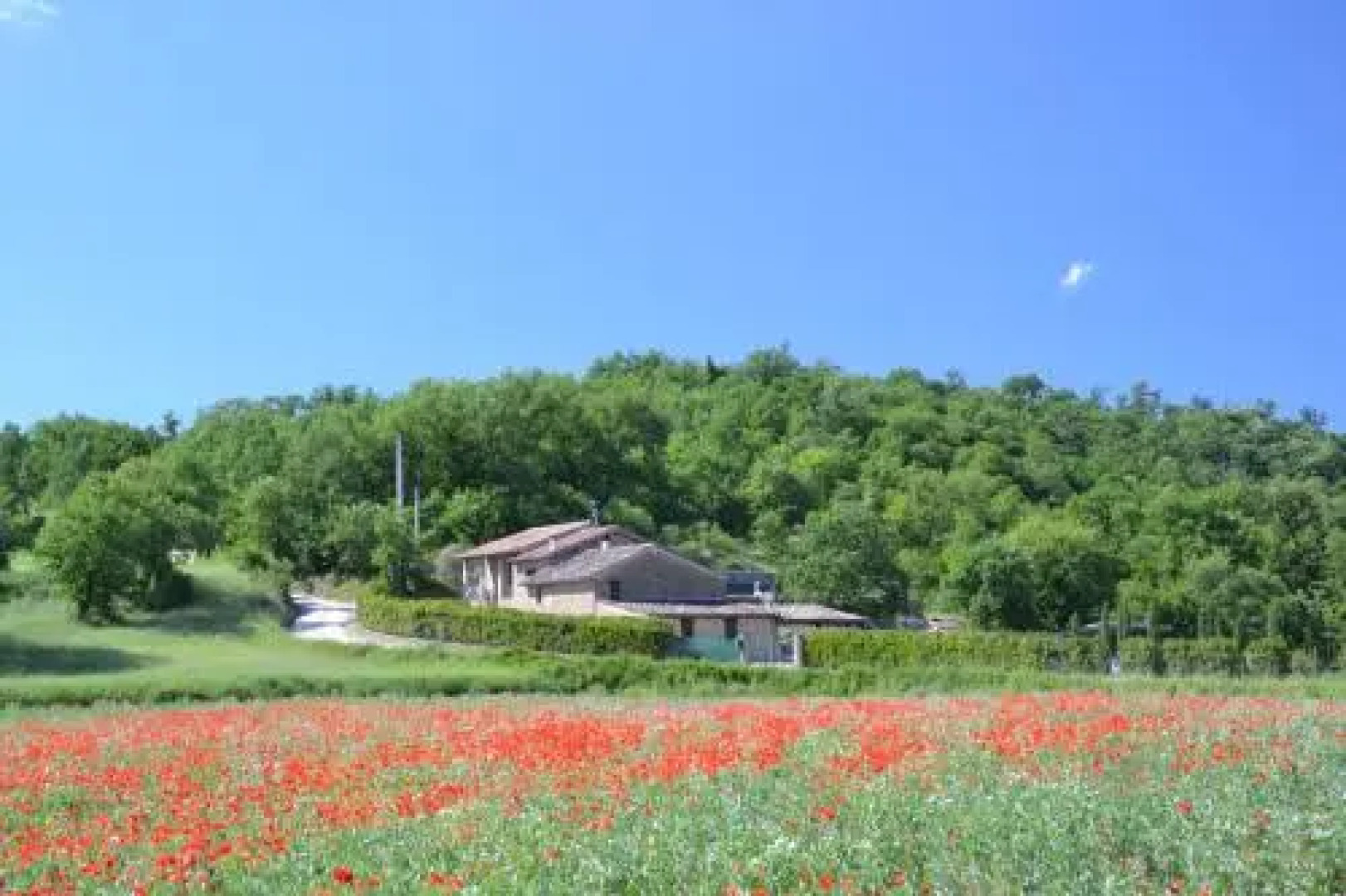 Casa Nestore Holiday Apartments