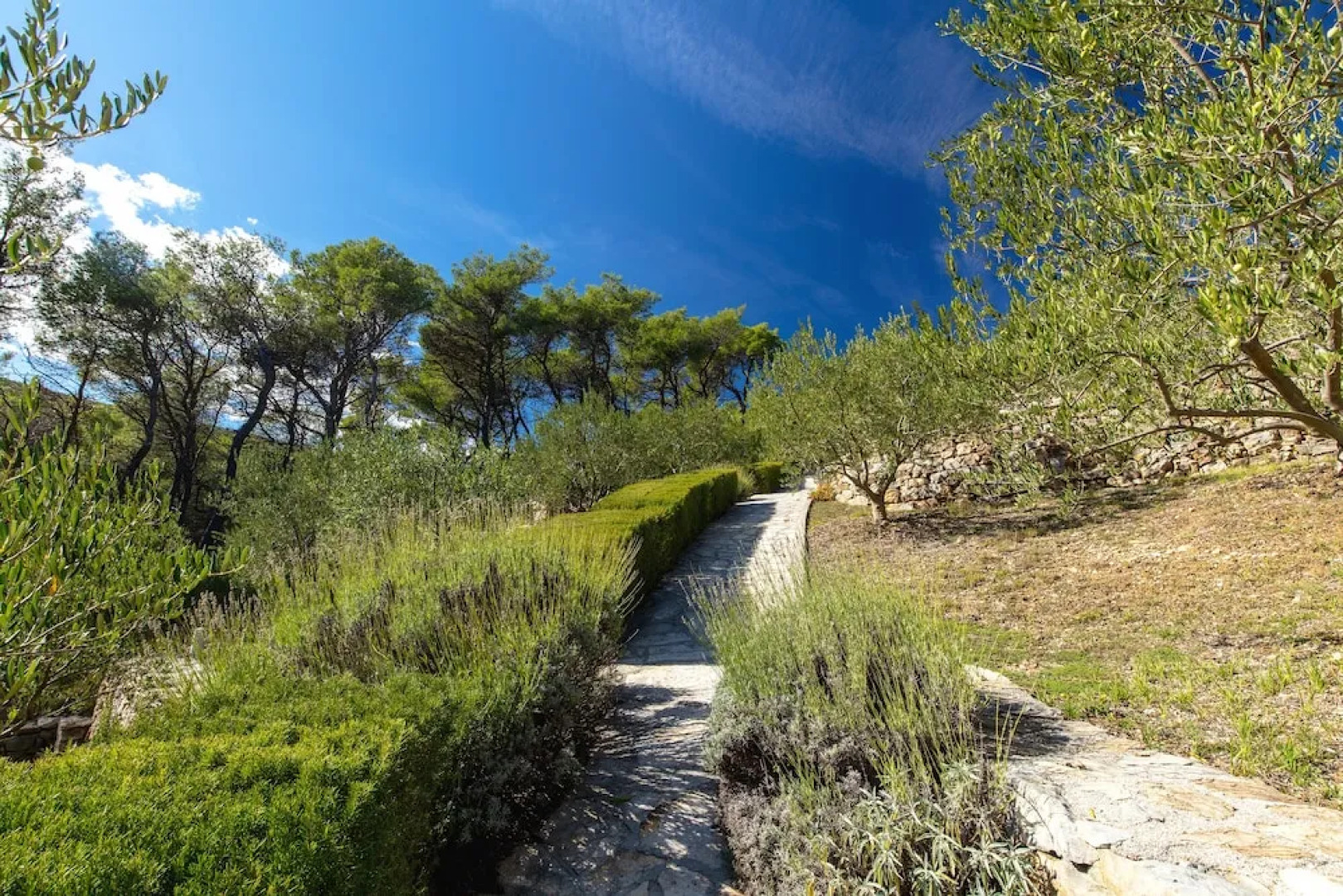 Luxury Villa Lovric Private Heated Pool