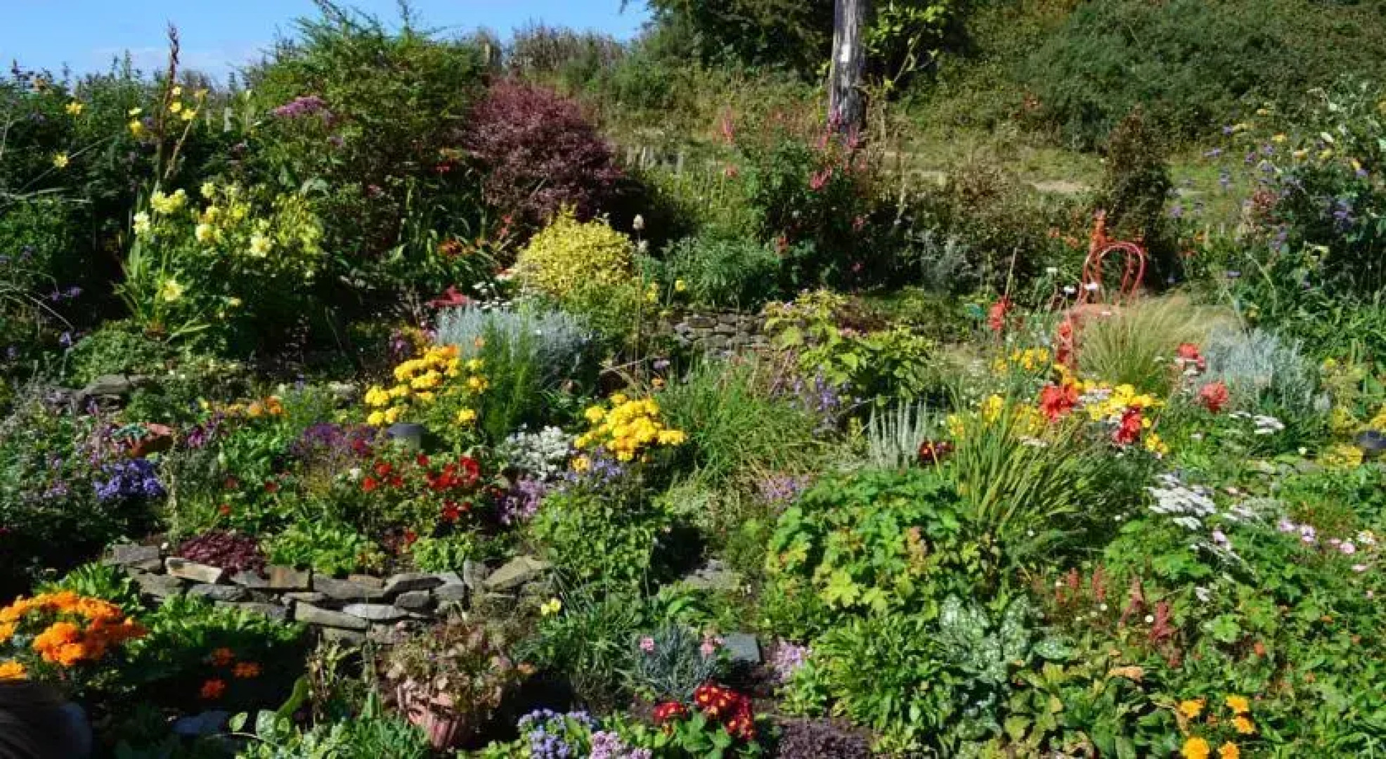 Tinnycross House B&B