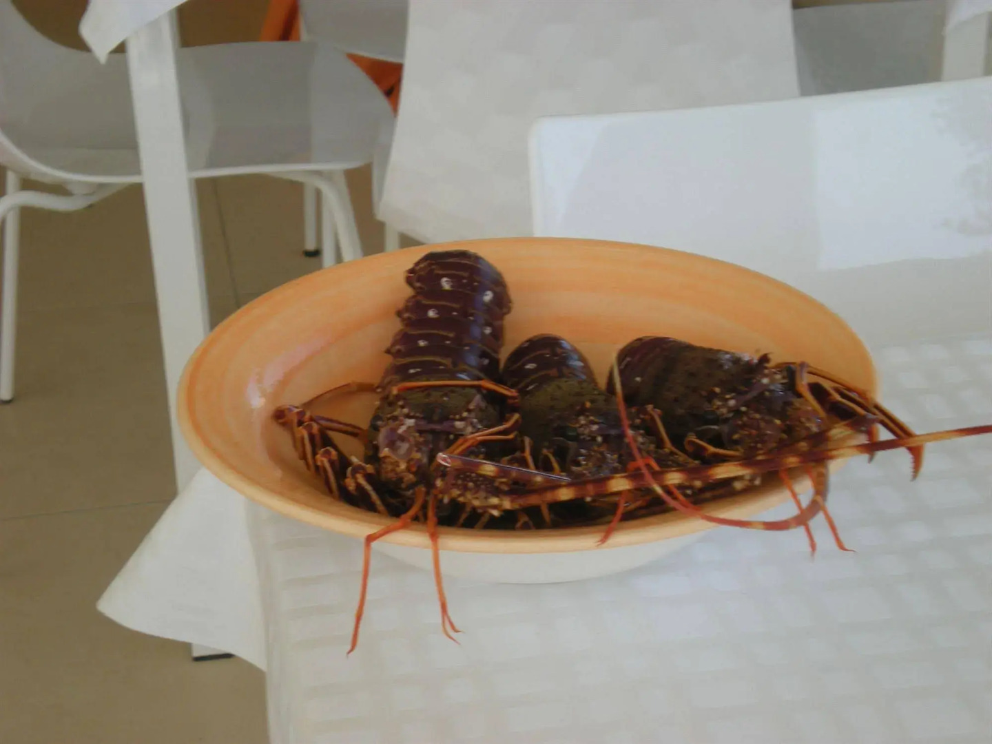 SUITEBEACH b&b and resort